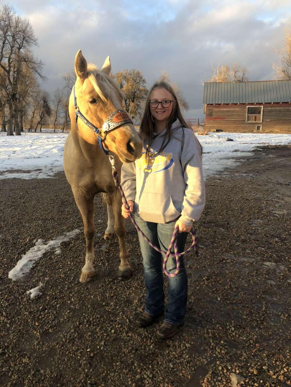 How to Properly Halter a Horse Introduction 5 Steps (with Pictures