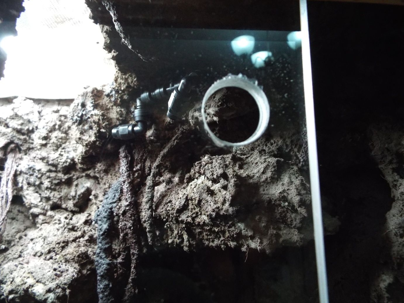 Converting Clothes Into a Multiple Vivarium Enclosure 23