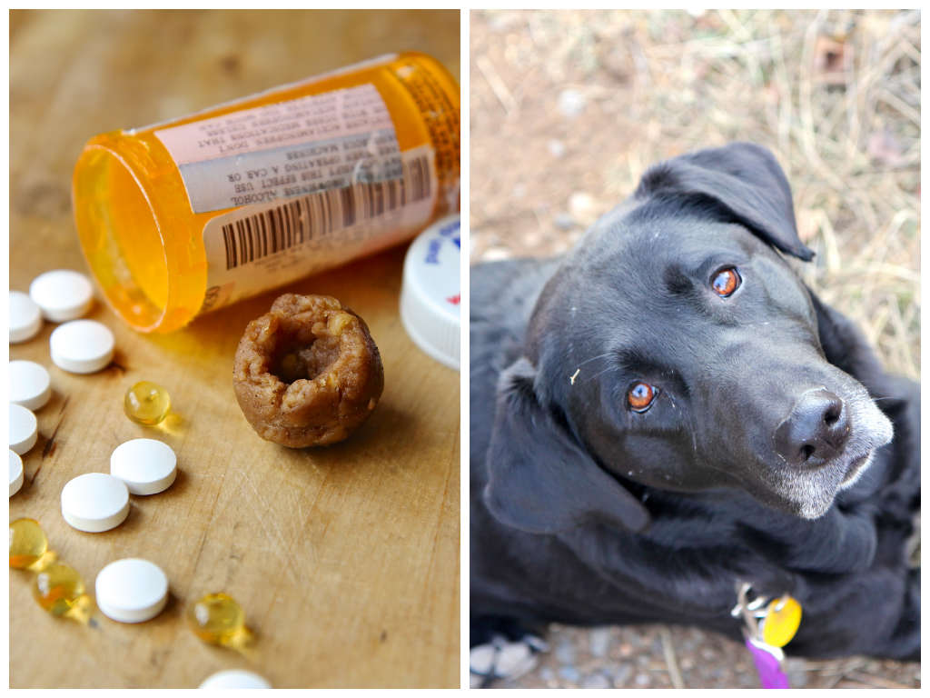 Dog Pill Pouches 6 Steps (with Pictures) Instructables