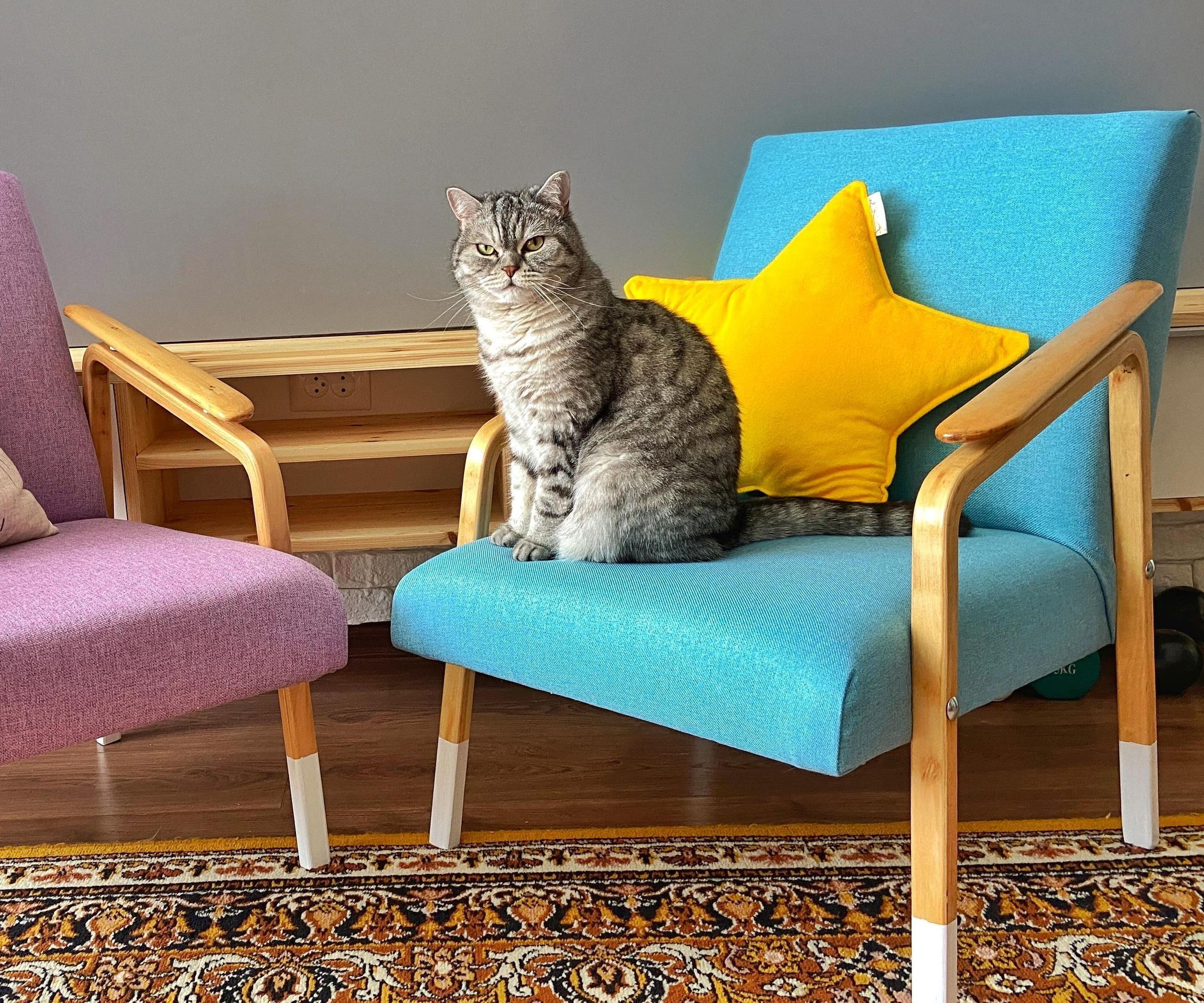 Reupholster a Chair From the Bones Up. Сhairs 43 Years Old