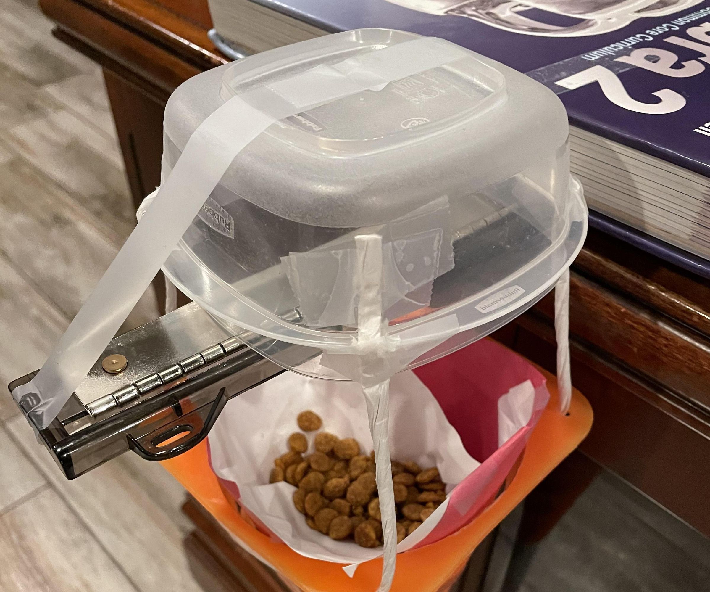 cat feeding system