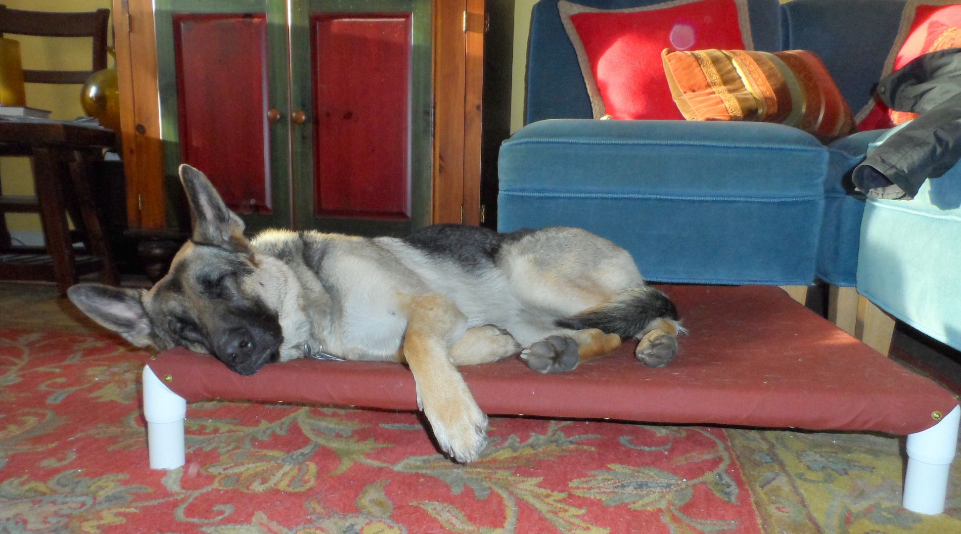 Elevated Dog Bed 11 Steps (with Pictures) Instructables