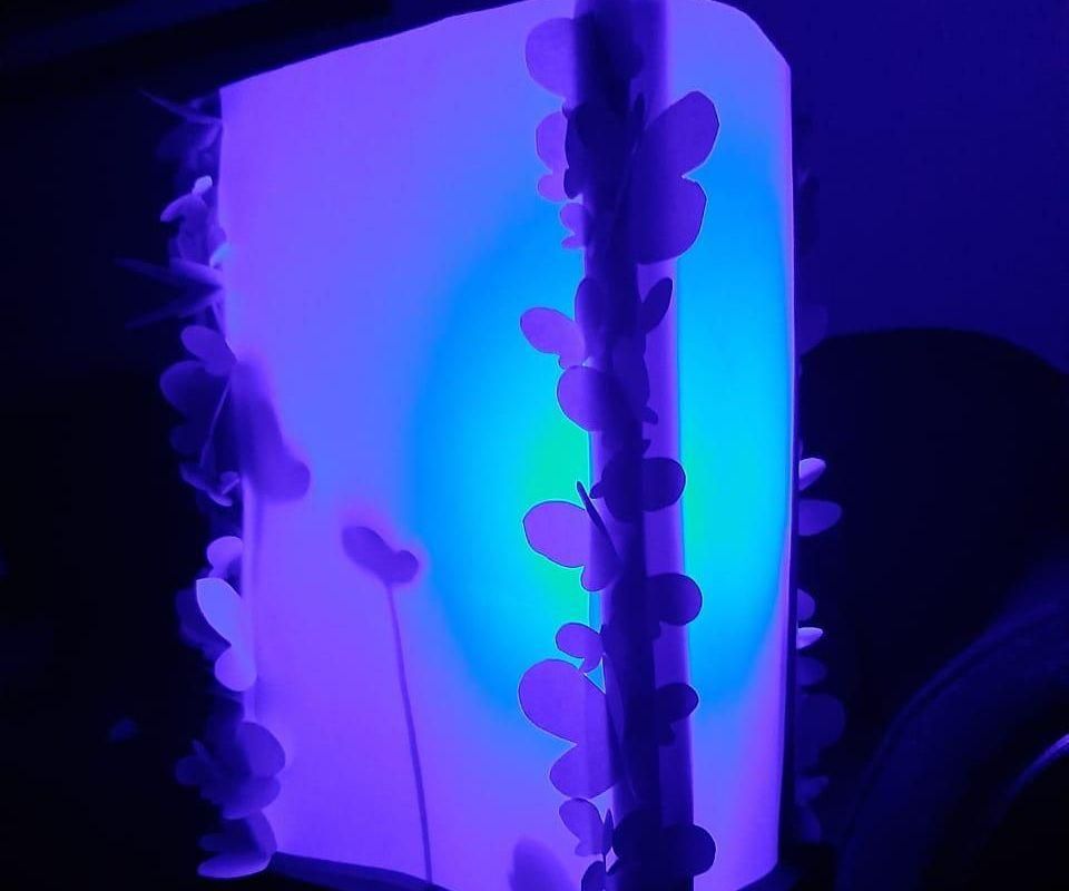 "mood lamp" DIY Project DIY Project Image