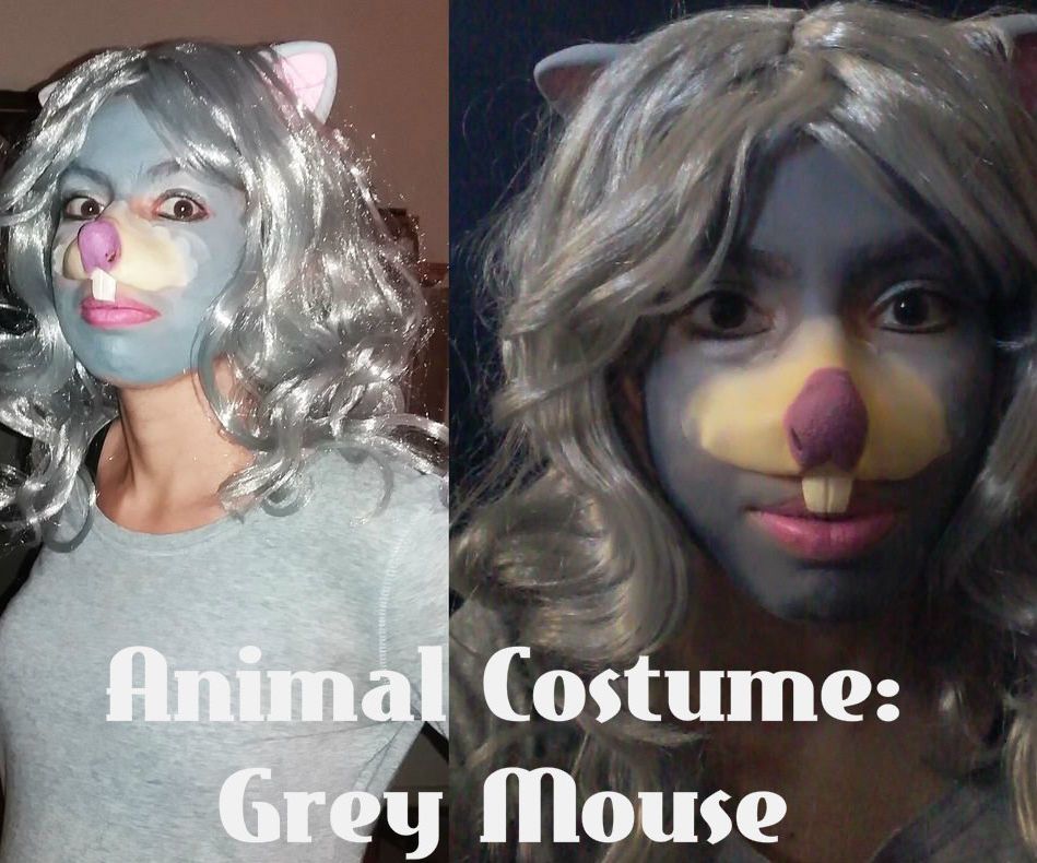 animal costume idea: grey mouse DIY Project DIY Project Image