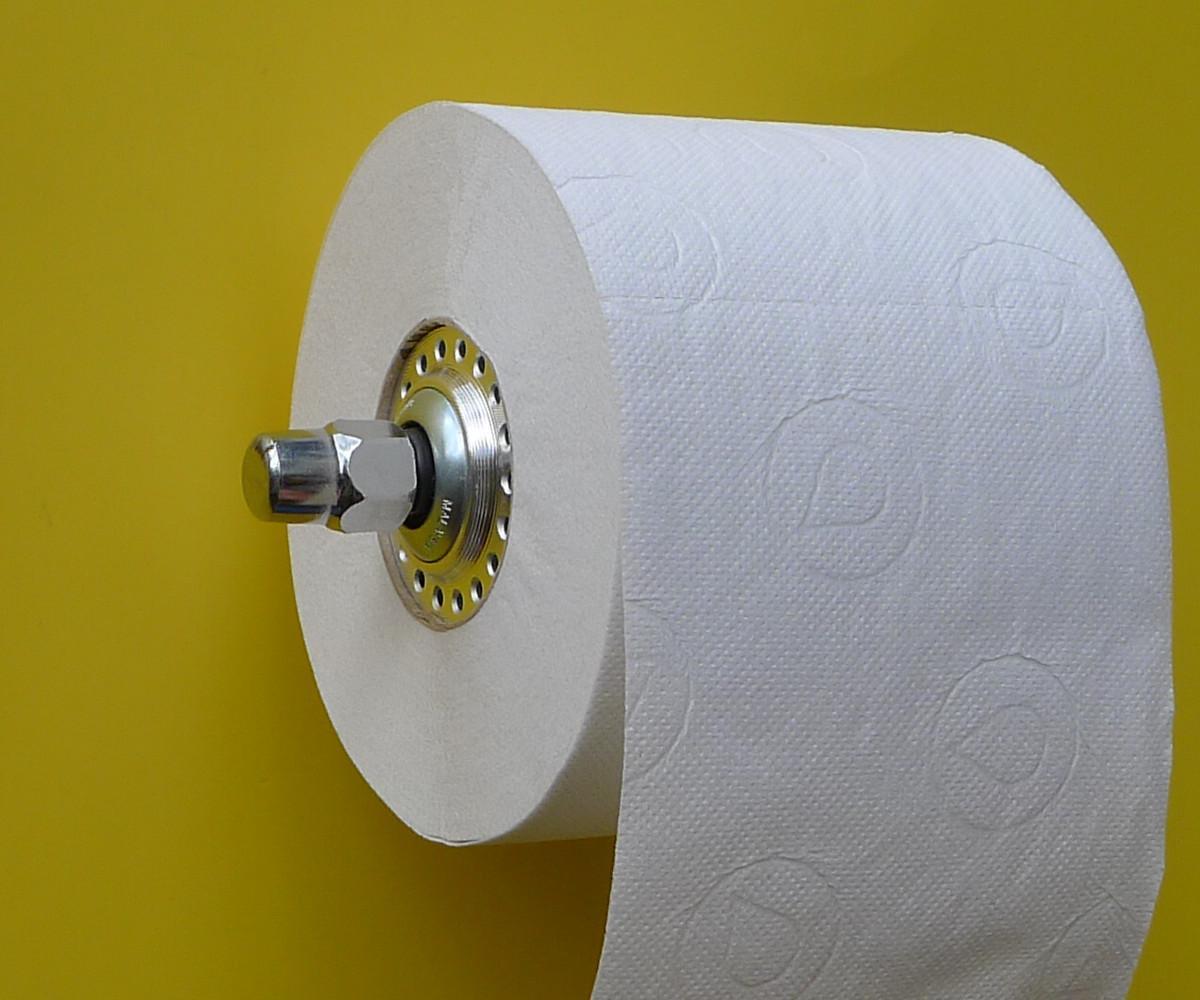 Toilet Roller Bearing 6 Steps (with Pictures) Instructables
