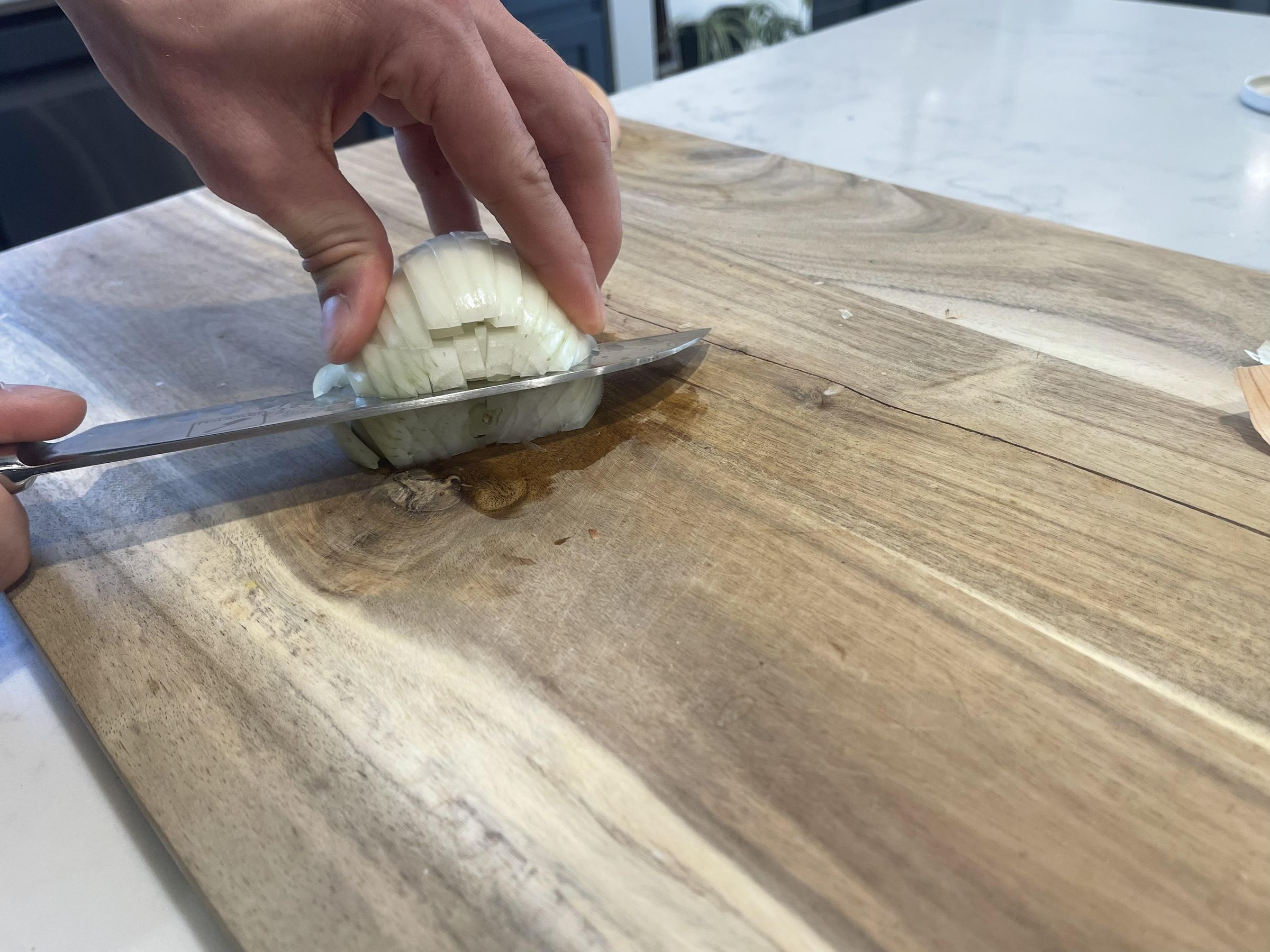 How to Properly Dice an Onion 10 Steps Instructables