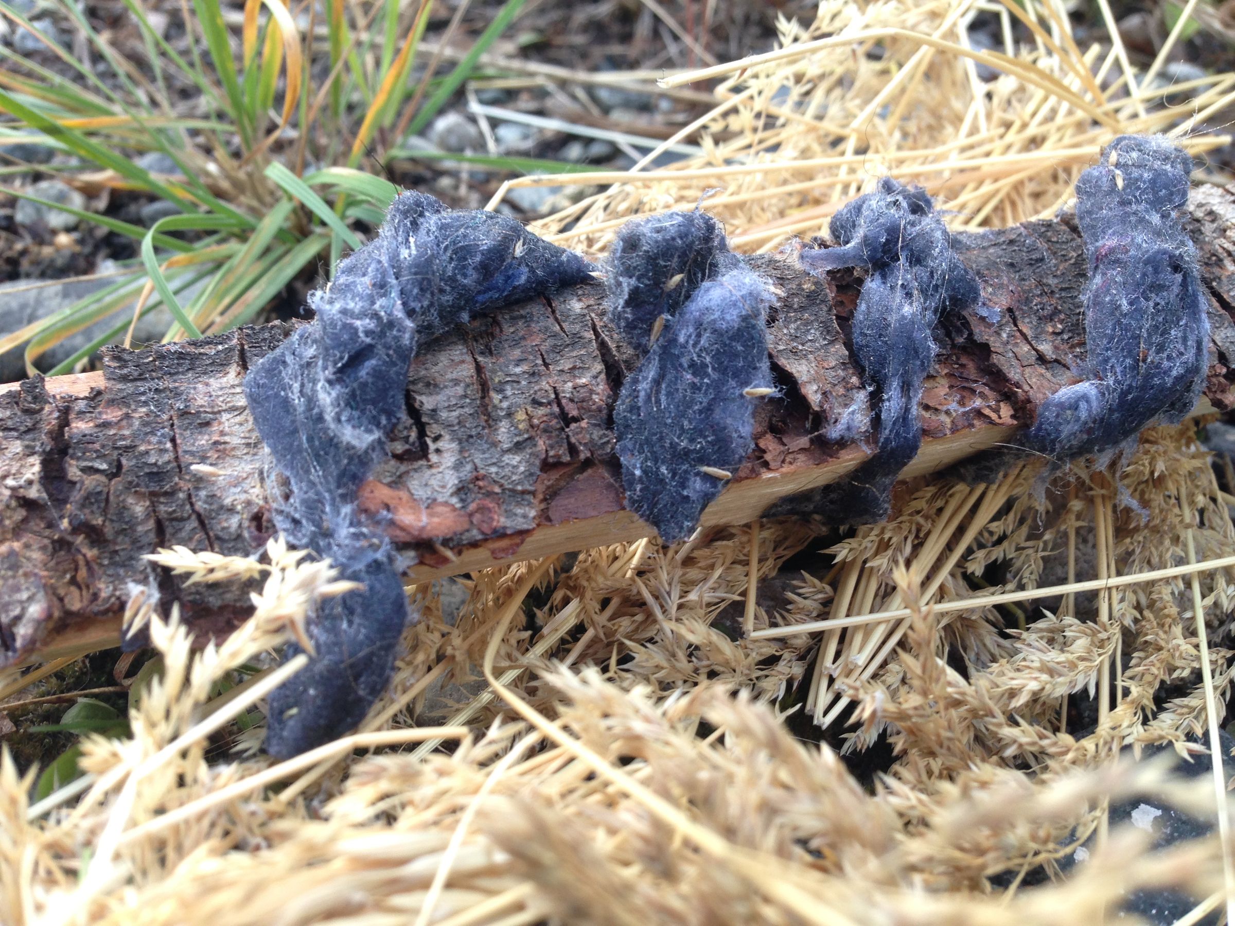 Dryer Lint Fire Starter 3 Steps (with Pictures) Instructables