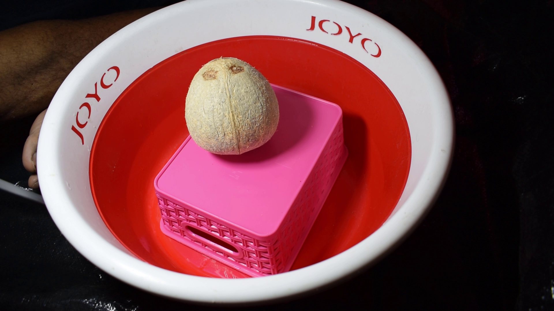 How to Make Cup From Coconut DIY Coconut Cup 11 Steps Instructables