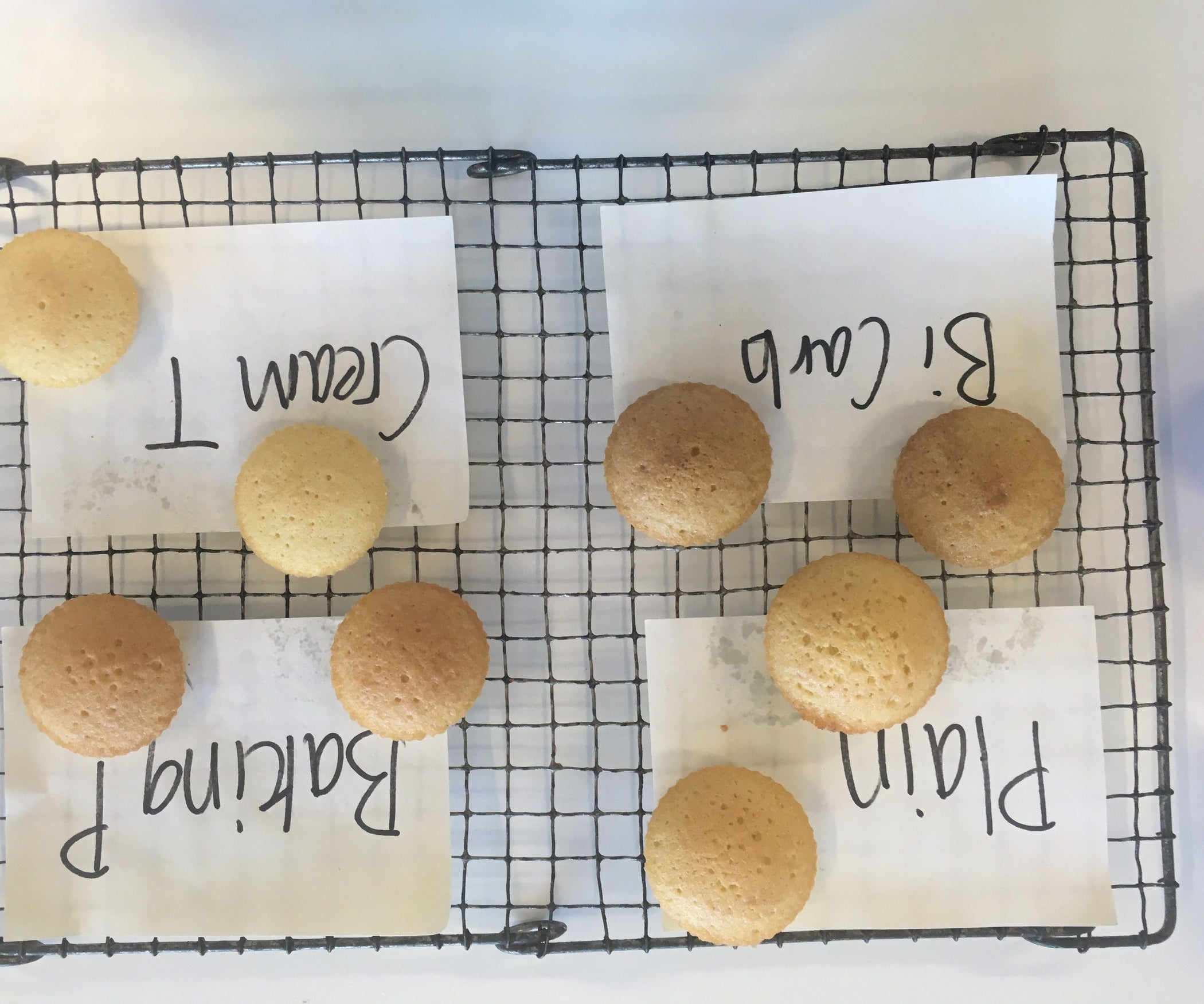 Raising Agents Investigation 9 Steps Instructables