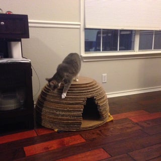 Cardboard Cat Igloo House : 6 Steps (with Pictures) - Instructables