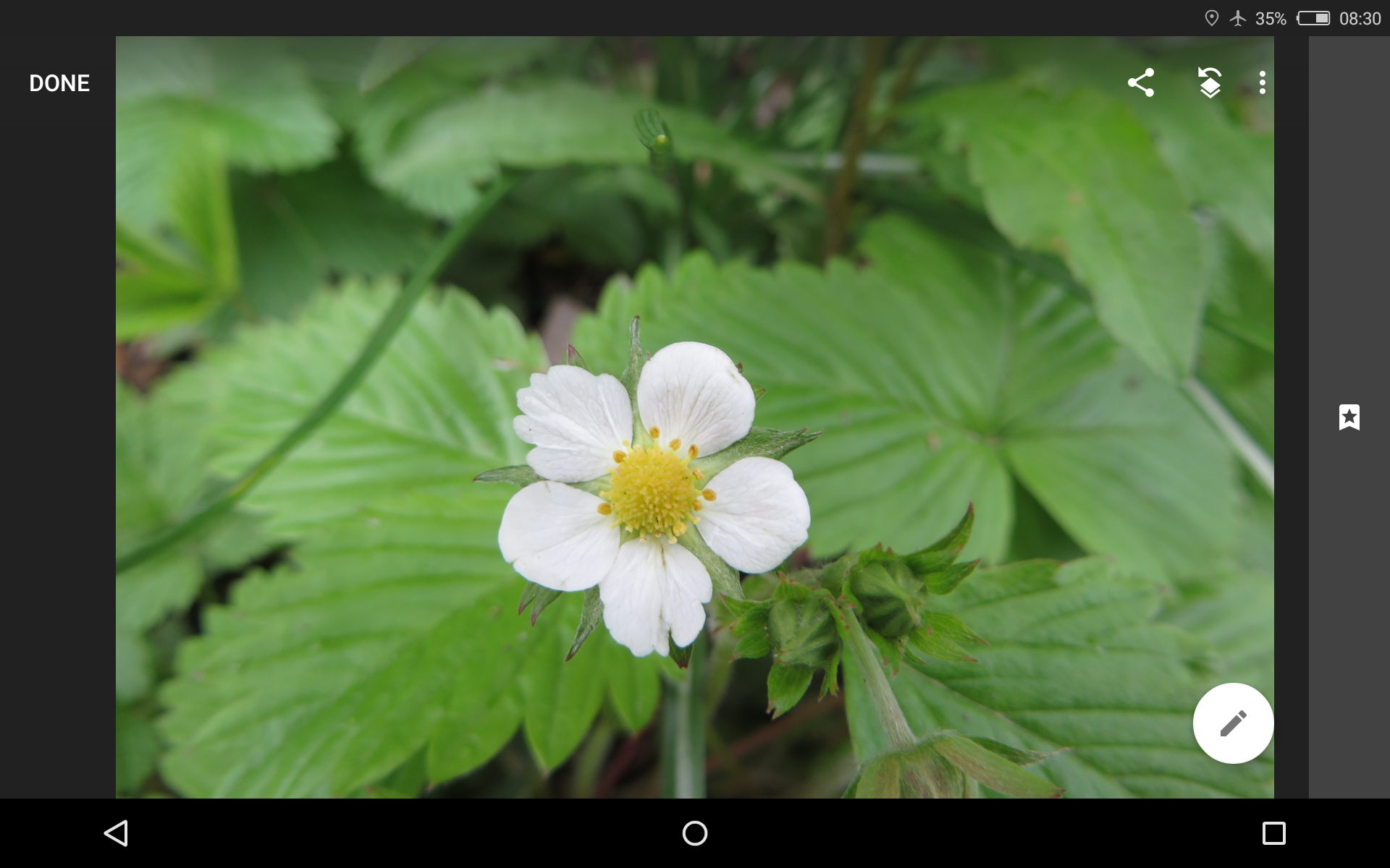 Highlight Colours In Black And White Photos With Snapseed 8 Steps With Pictures Instructables