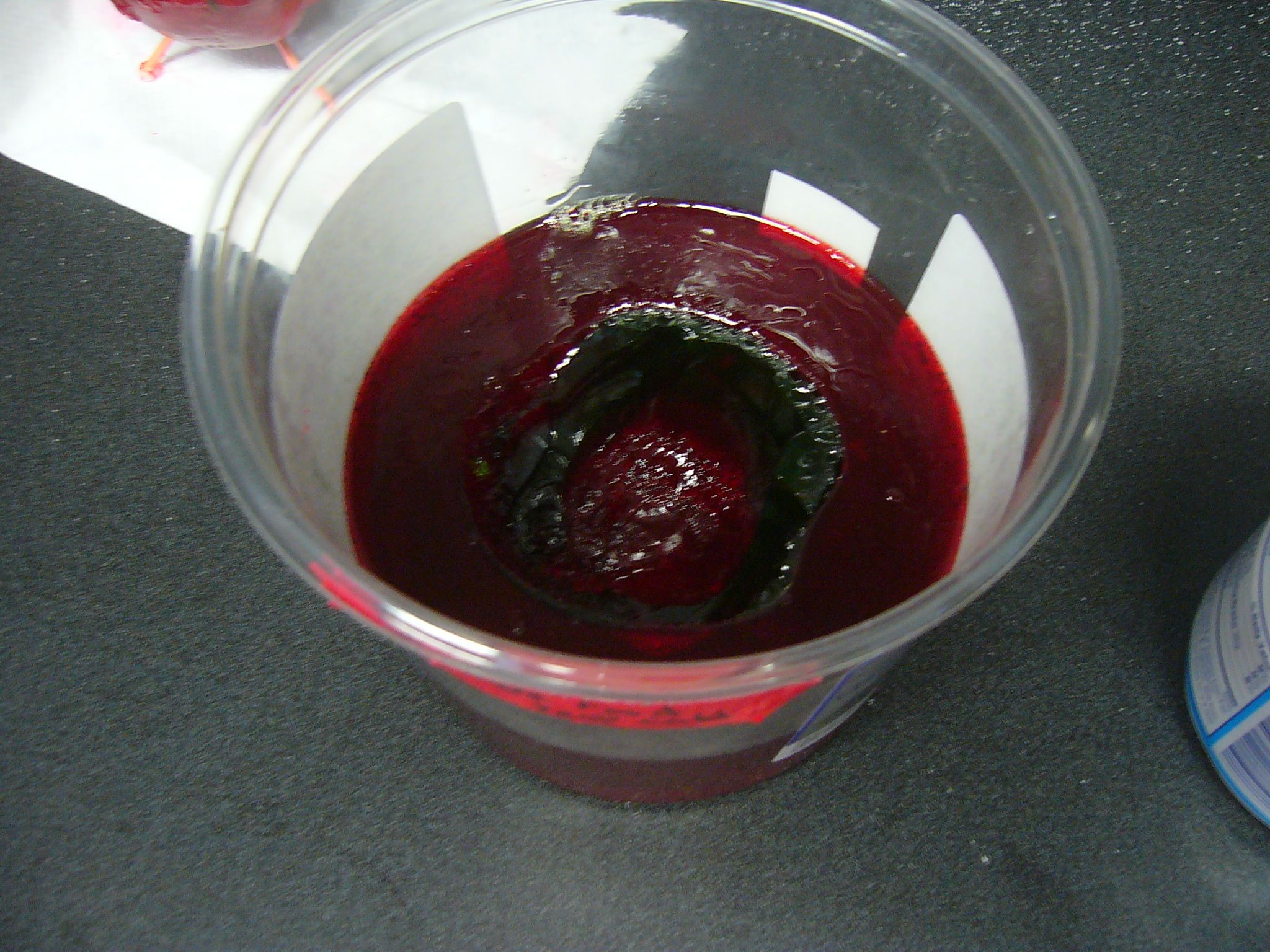 Mold Making With Jello : 7 Steps (with Pictures) - Instructables