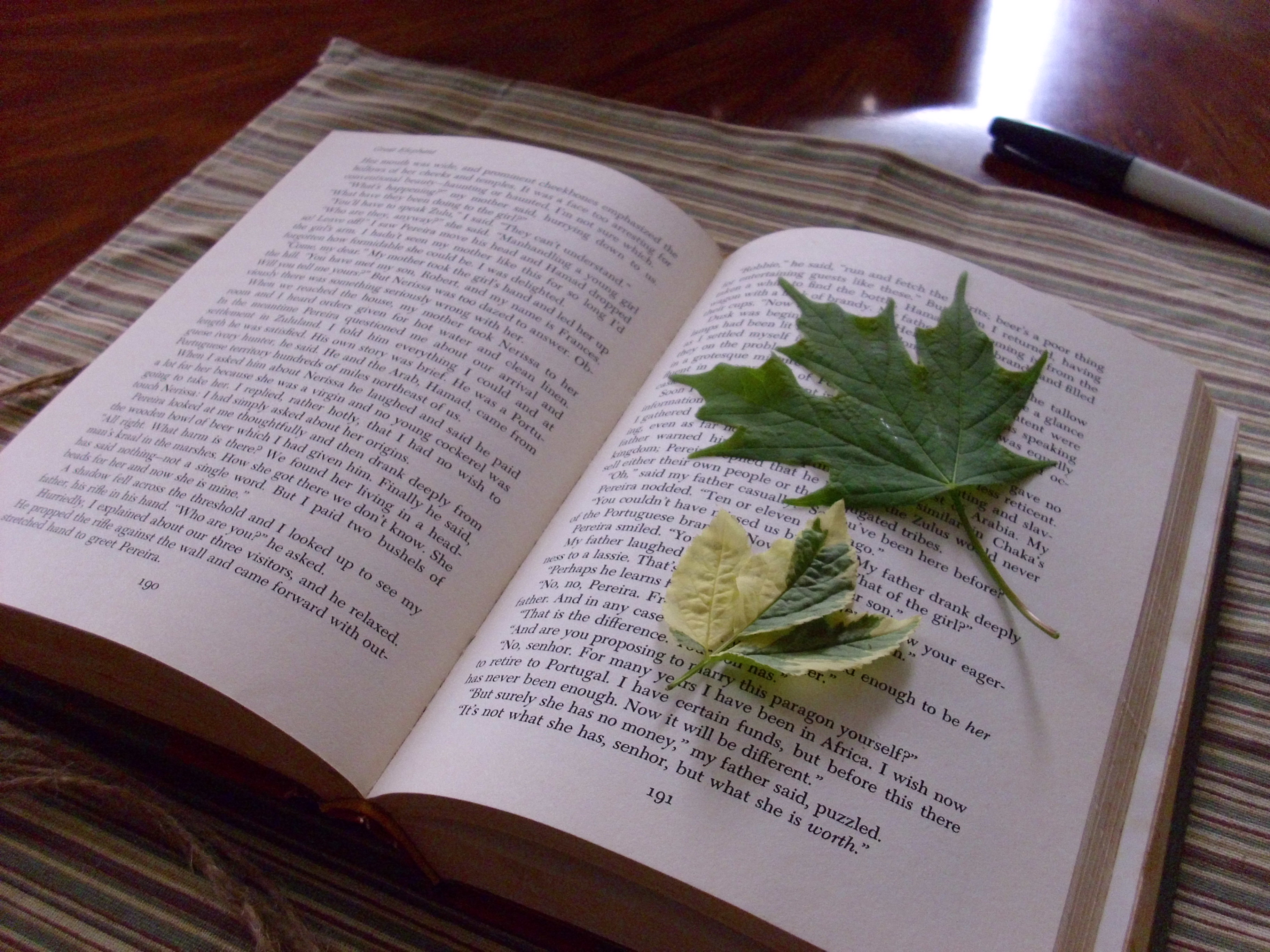 Simple Flower Pressing Book 5 Steps Instructables
