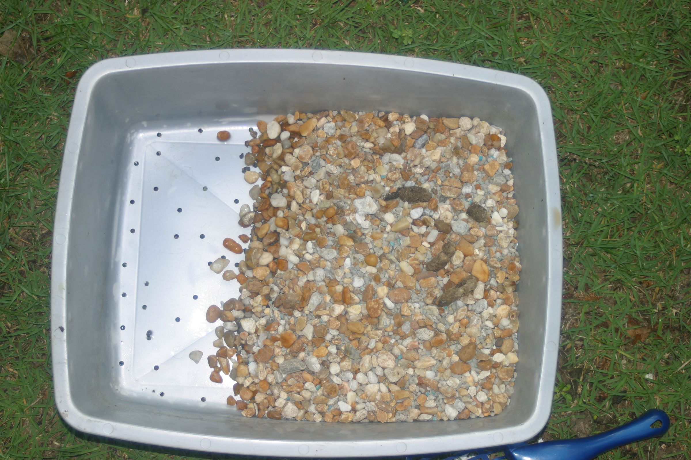 reusable cat litter