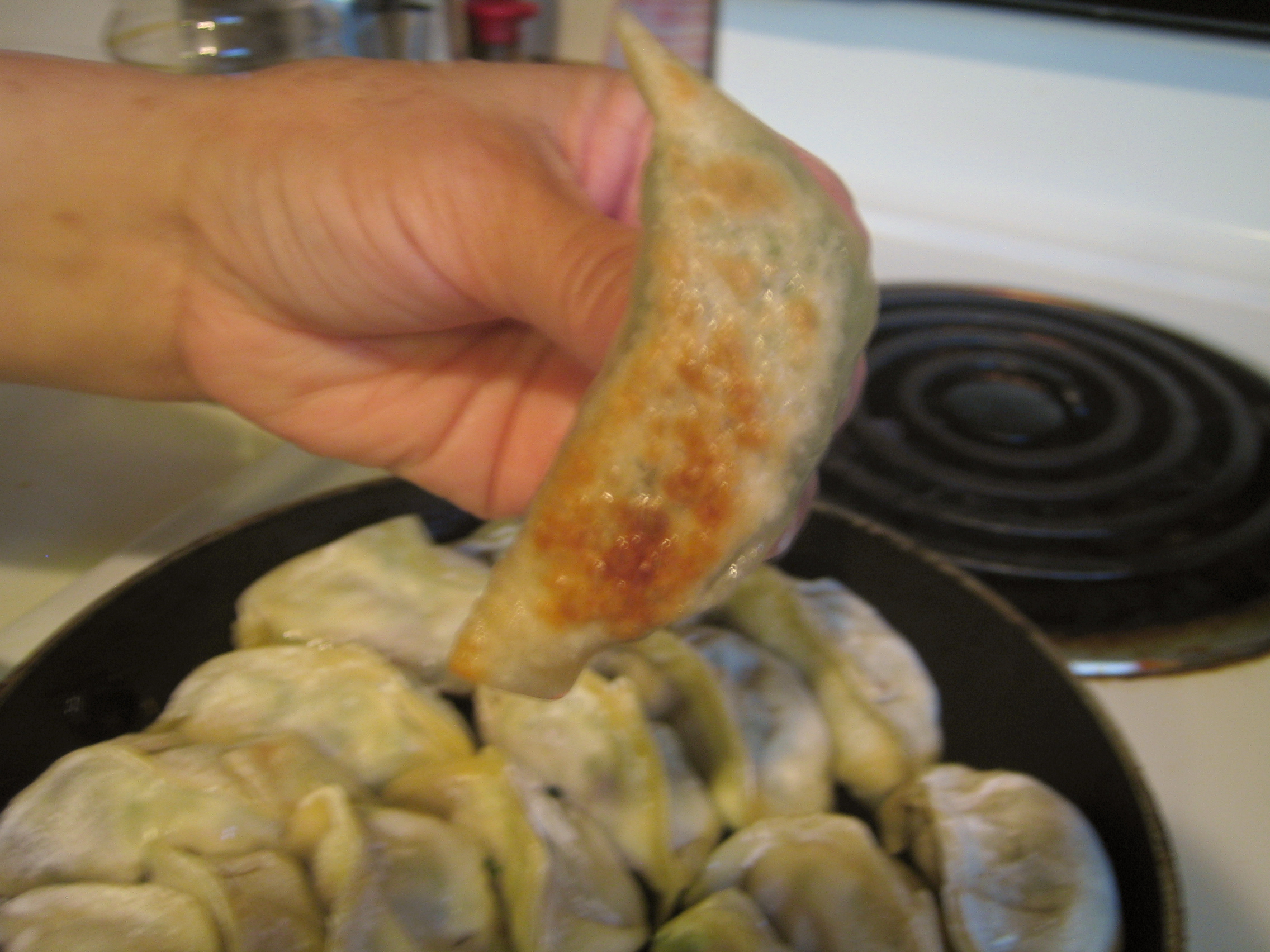 How to Make Potstickers From Scratch! 6 Steps (with Pictures