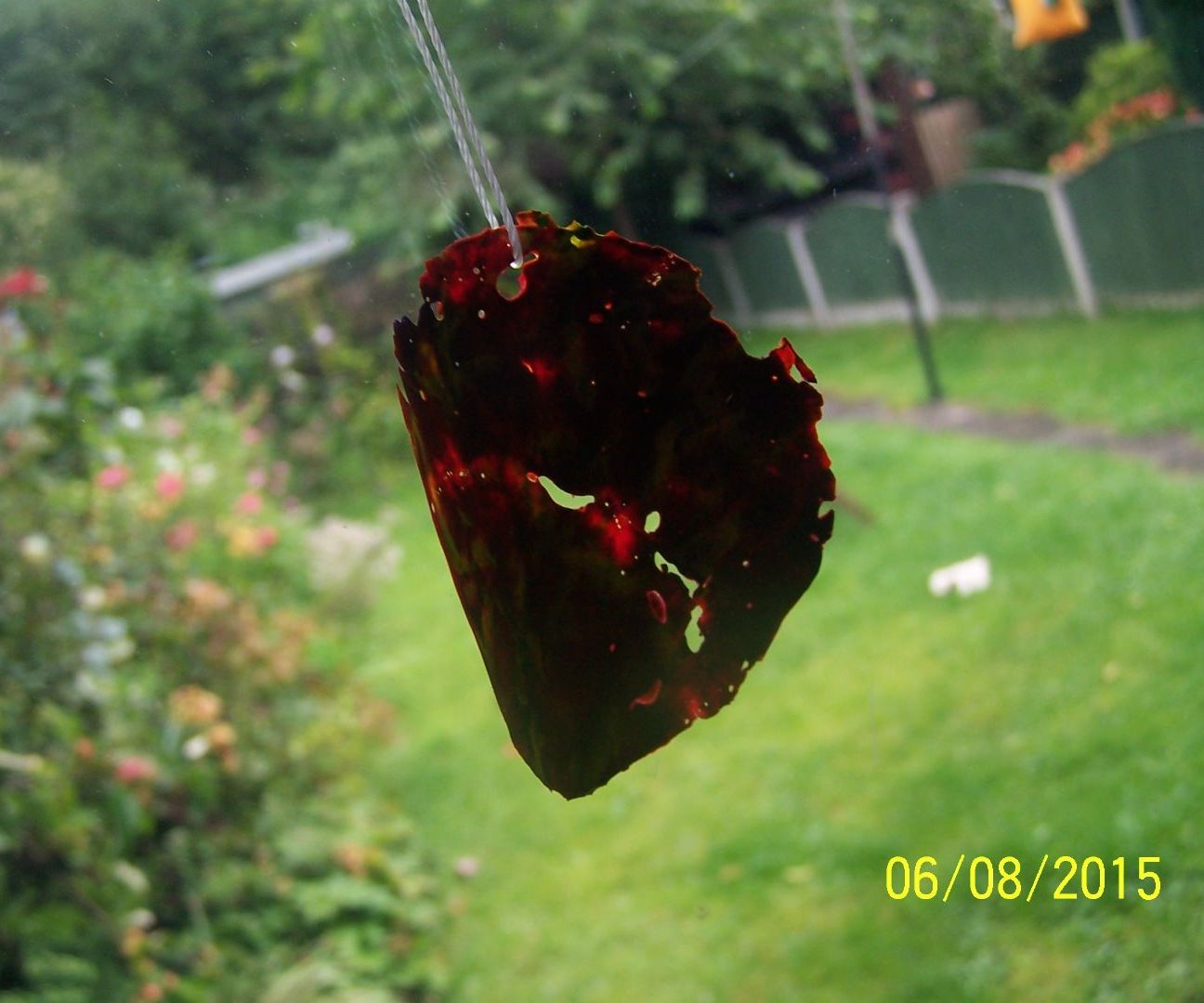 wax confetti disc DIY Project DIY Project Image