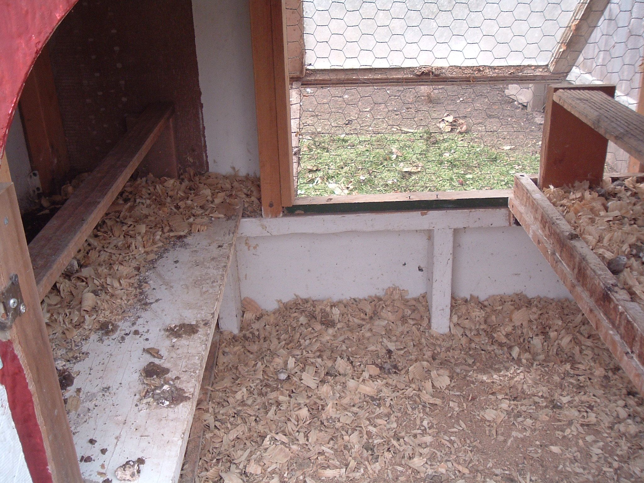 Backyard Chicken Coop 6 Steps (with Pictures) Instructables