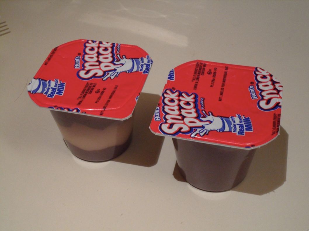 Homemade Pudding Pops