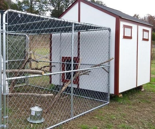 diy garden shed chicken coop DIY Project DIY Project Image