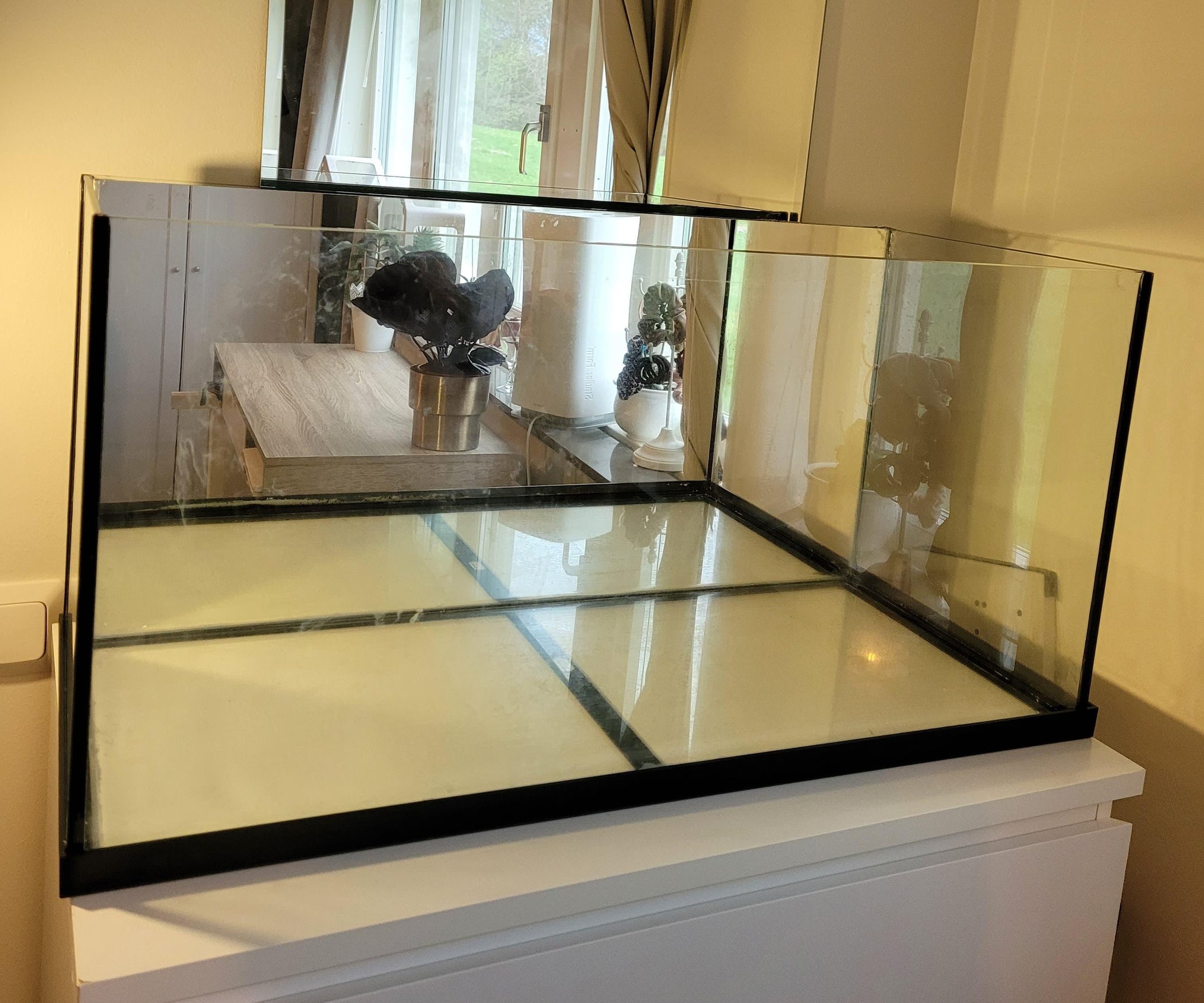 How To DIY Mirror Background in Aquarium/ Terrarium/ Paludarium 3