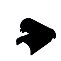download {{ file.name }}
