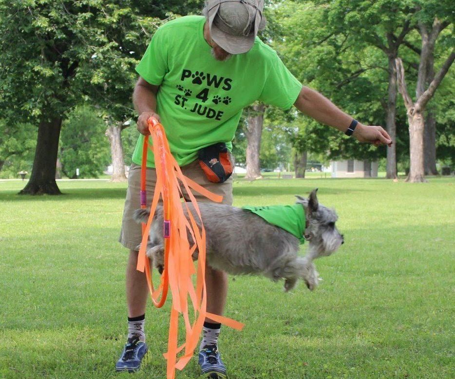 Ring of Fire (Dog Jumps Through Hoop) 4 Steps (with Pictures