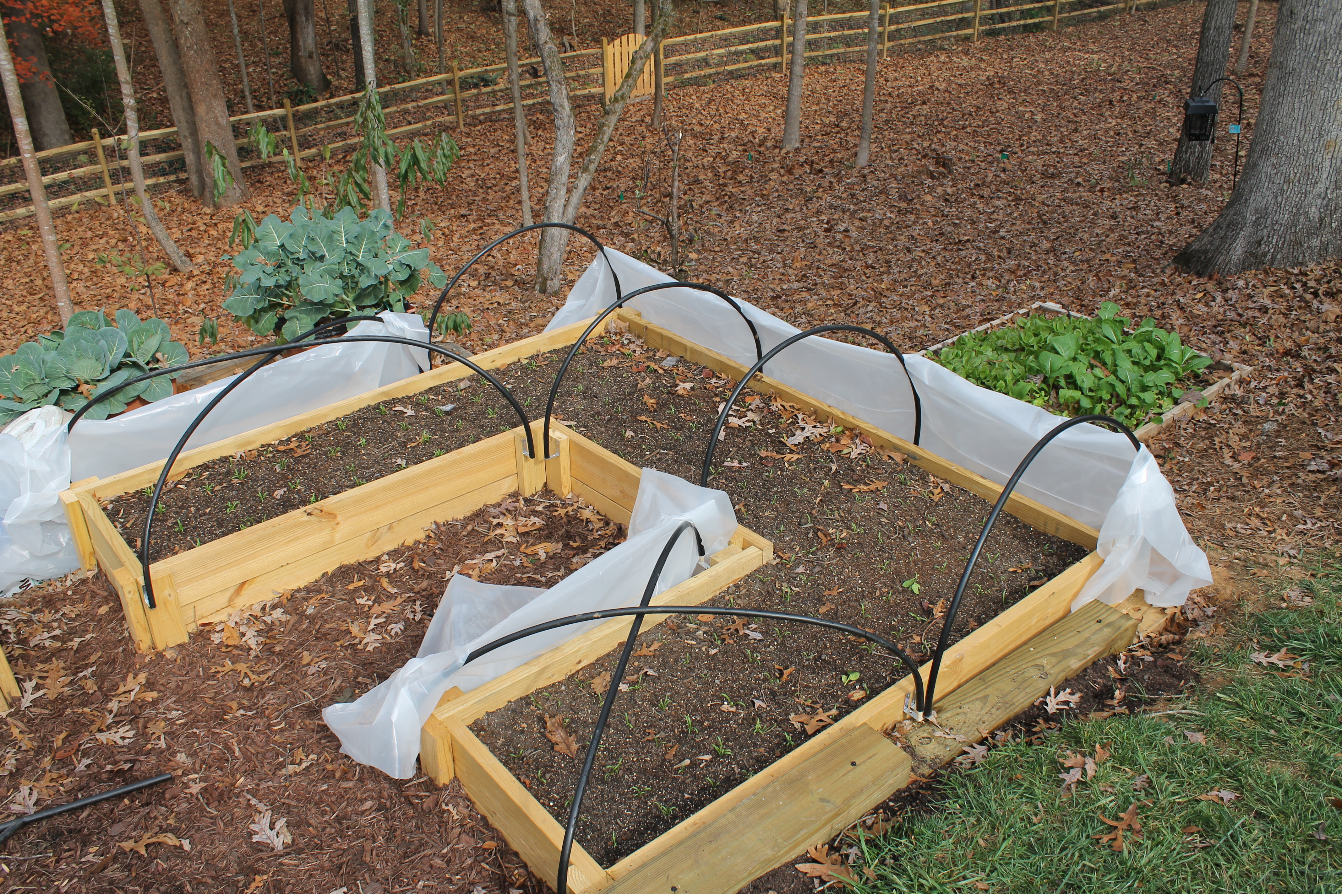 Simple Hoop Houses for Raised Beds 5 Steps (with Pictures