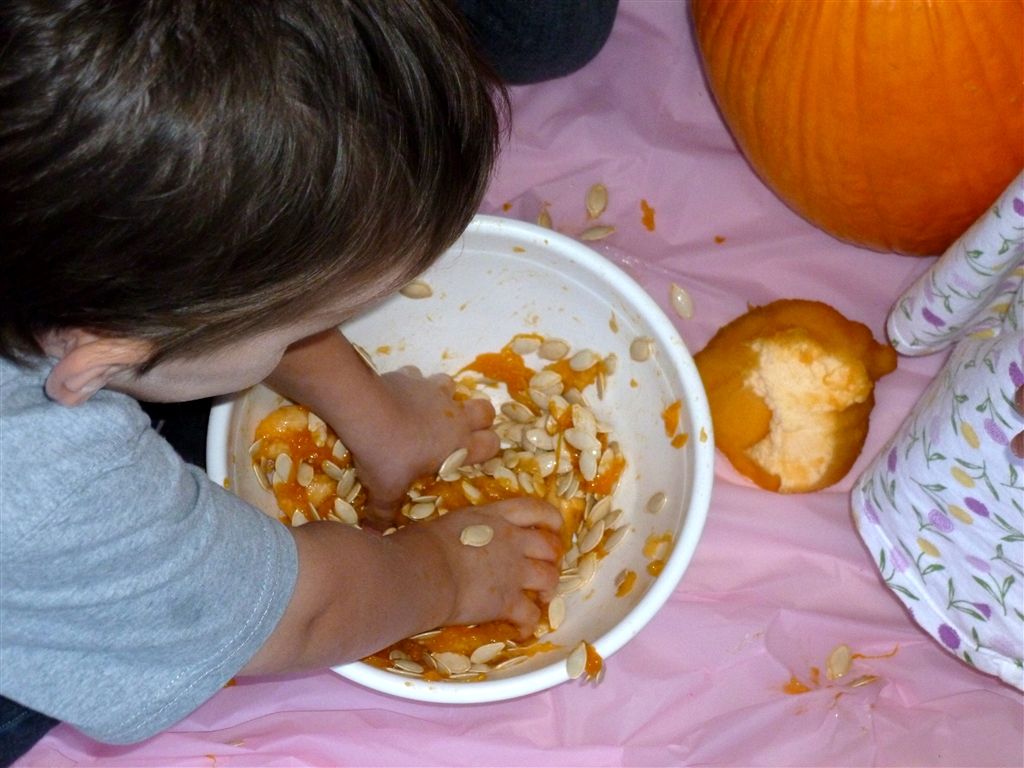 pumpkin guts dog treats