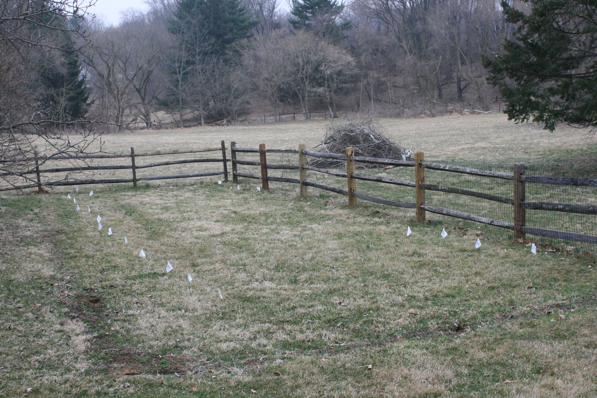 Domestically Sustainable Agriculture Construction, Planting, and