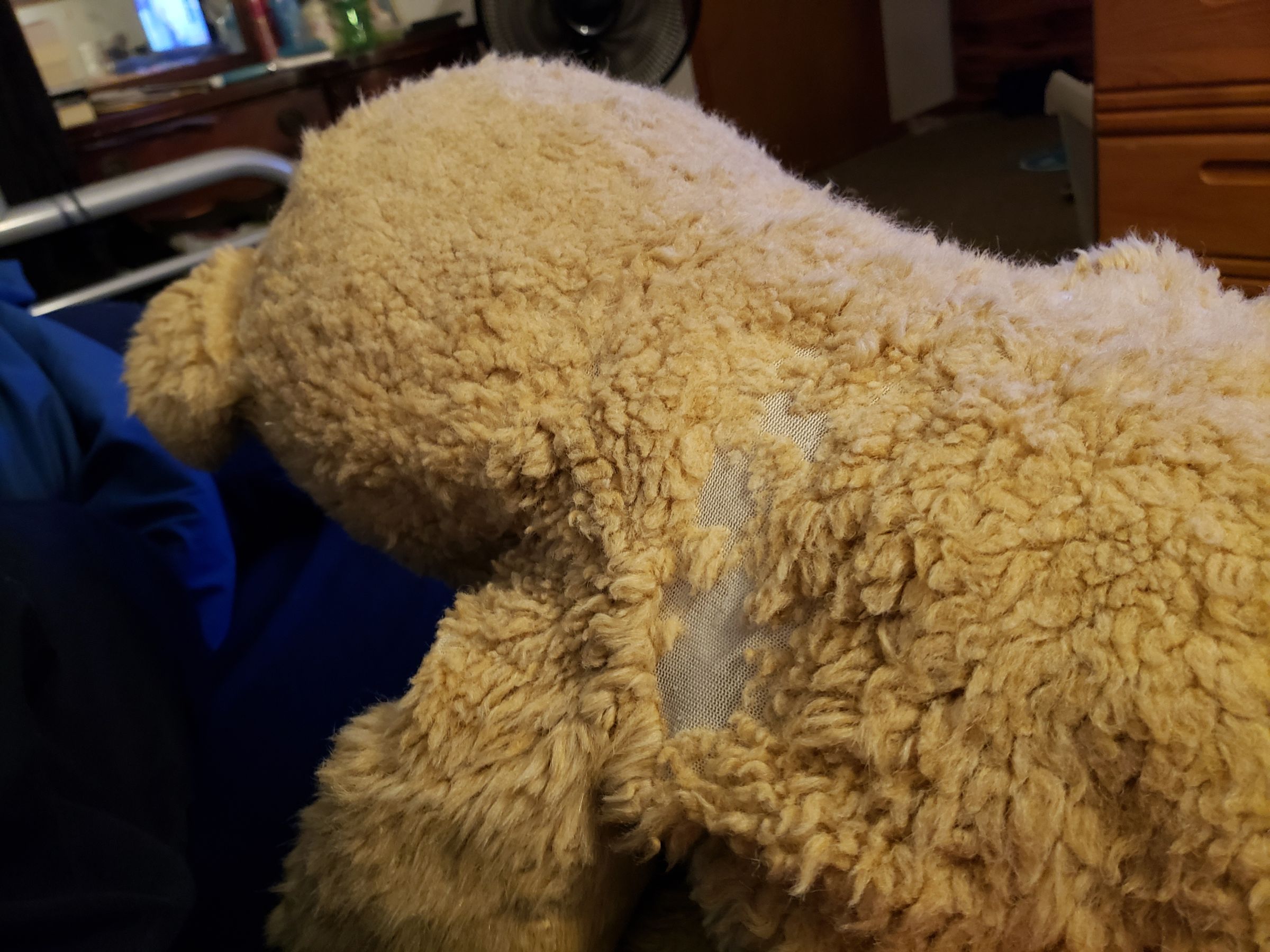 Teddy Bear Restoration 8 Steps (with Pictures) Instructables