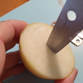 Cut Potato in Half, Insert Copper and Zinc Coated Washer