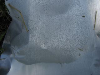 IMG_0486.jpg