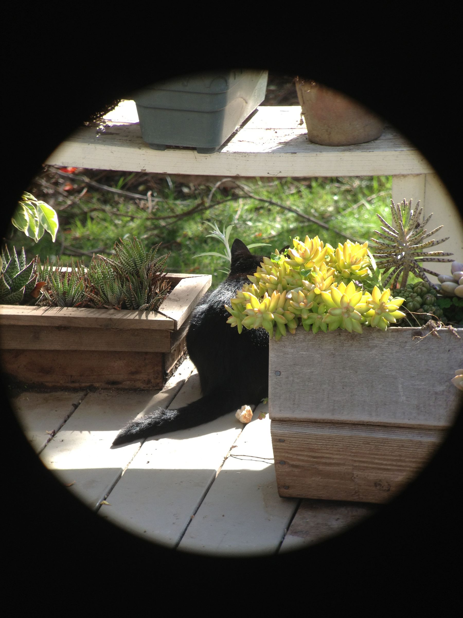 Binocular Mobile Phone Mount. 9 Steps (with Pictures) Instructables