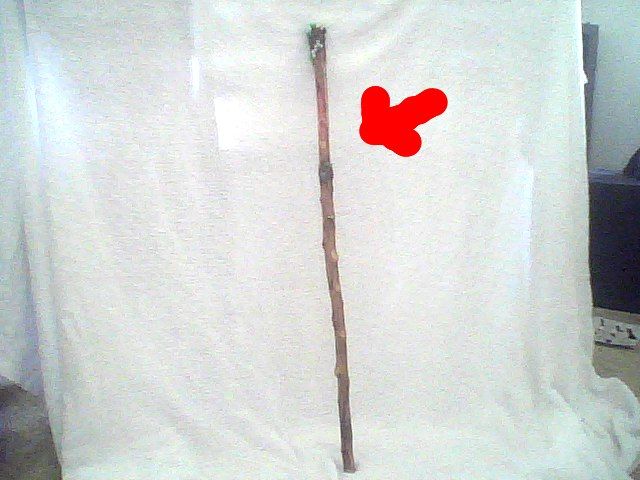cool pimp homemade cane DIY Project DIY Project Image