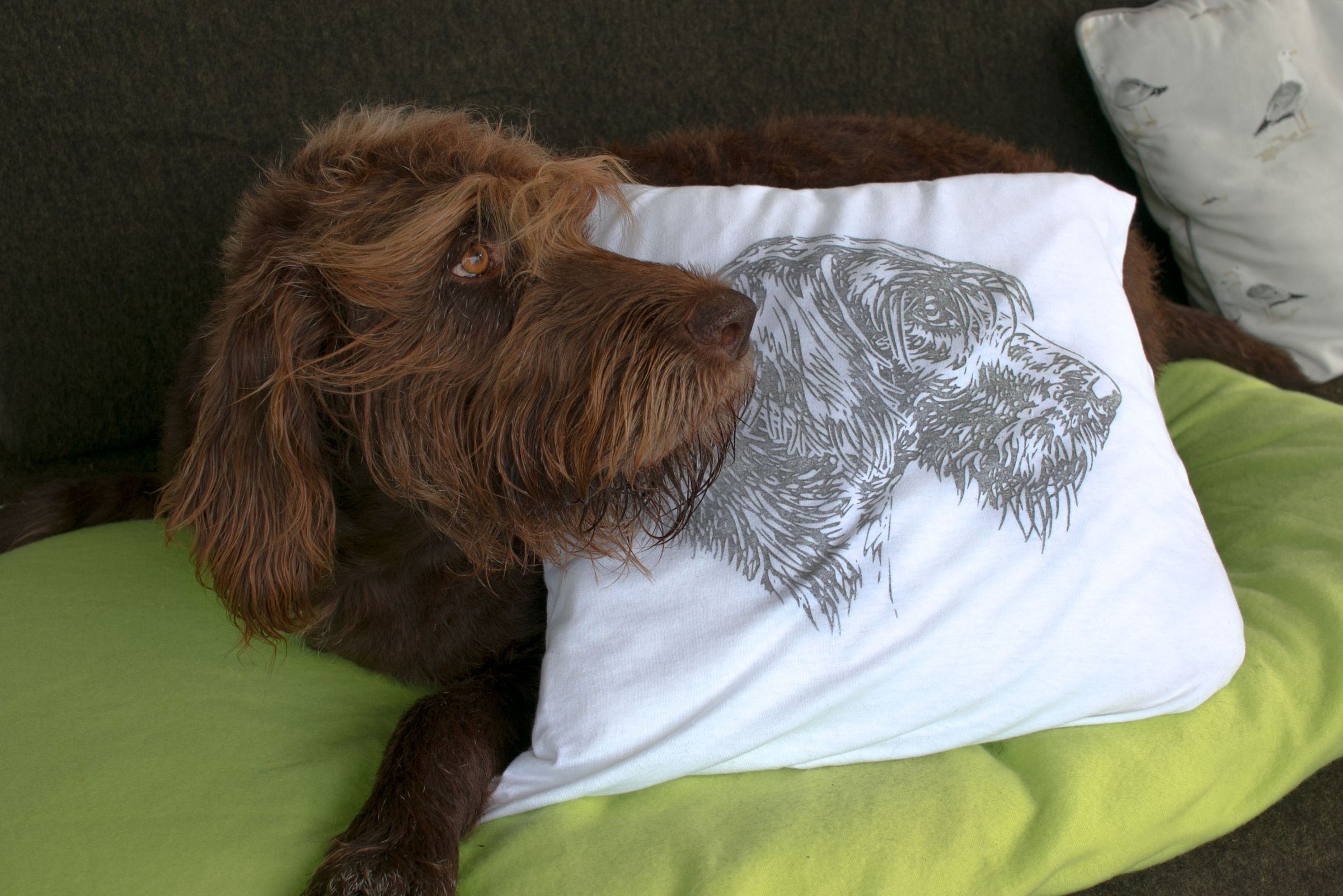 How To Transfer Image To Fabric With Laser Printer