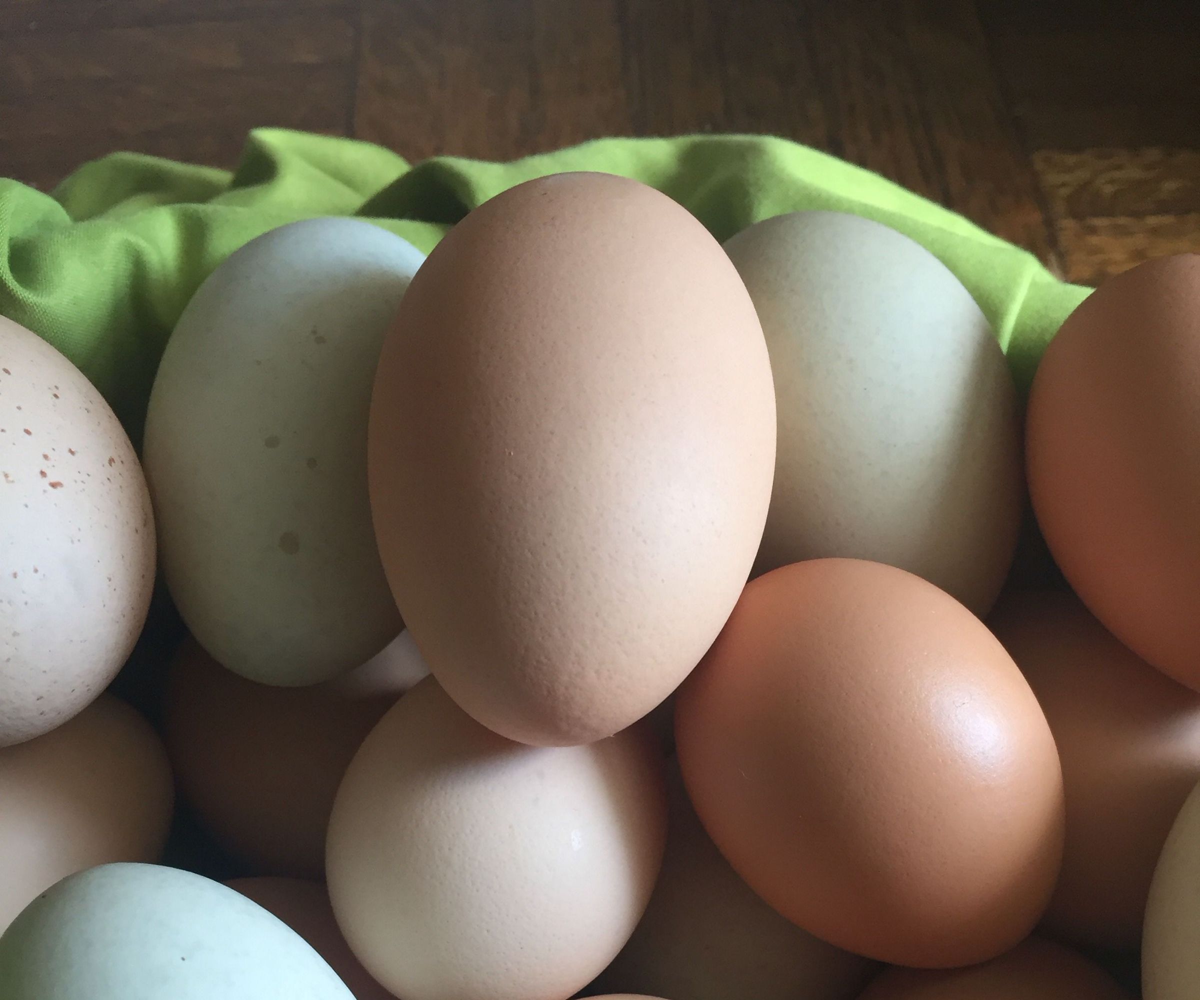 How to Get "Free" Eggs