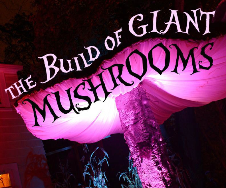 Giant Mushrooms