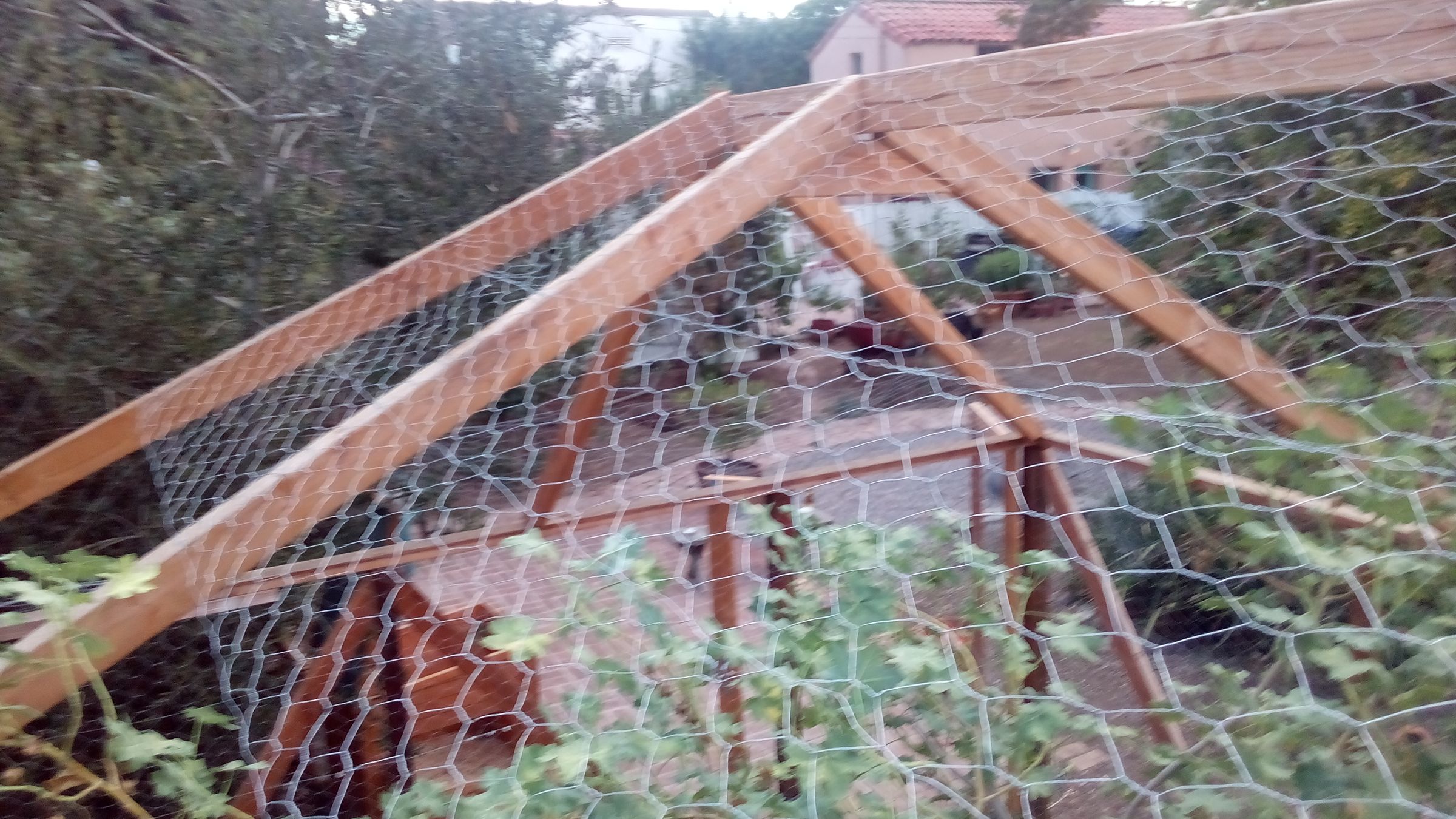 Walkin Open Air Chicken Coop 16 Steps (with Pictures) Instructables
