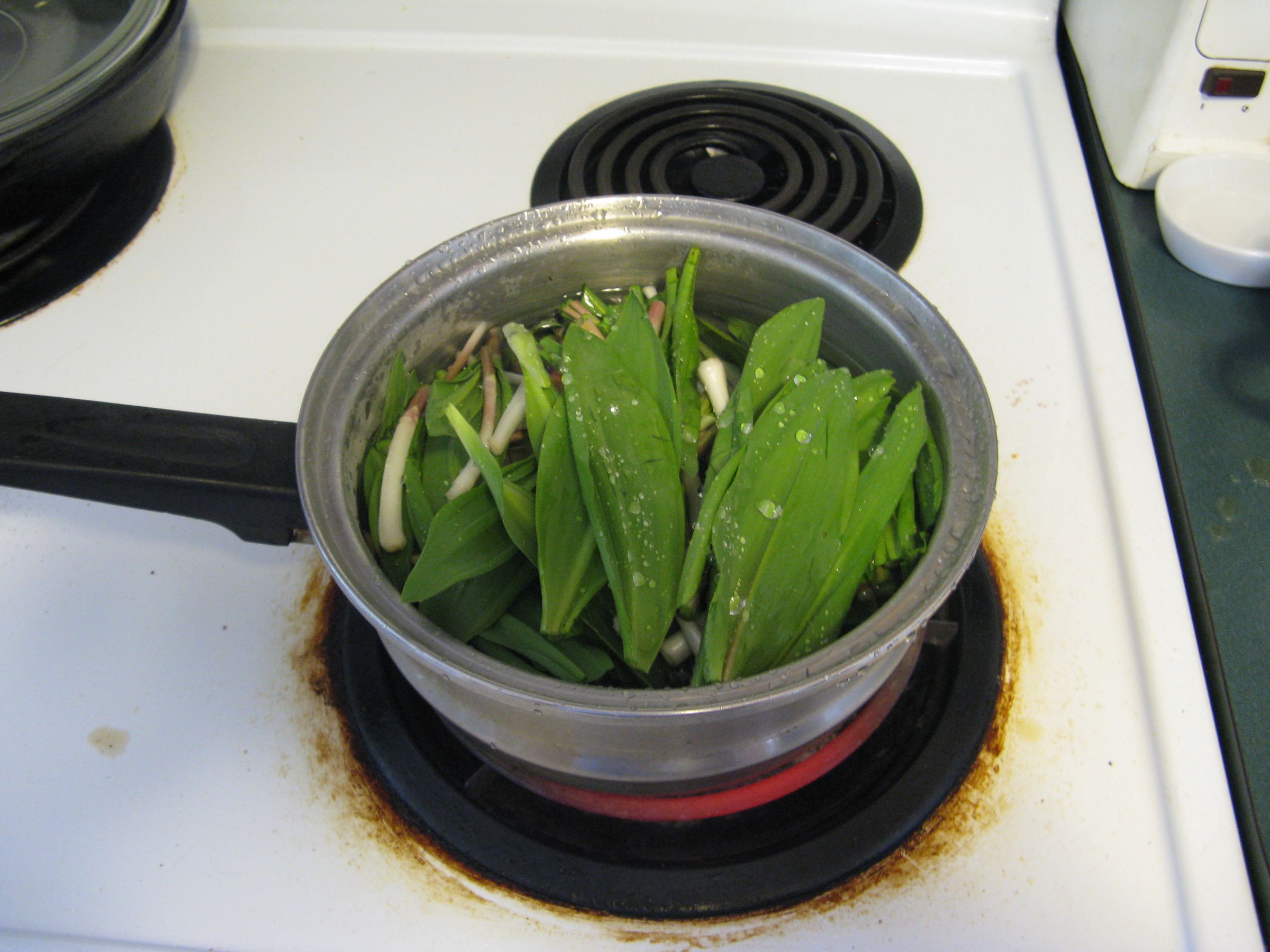 Wild Leeks 6 Steps (with Pictures) Instructables