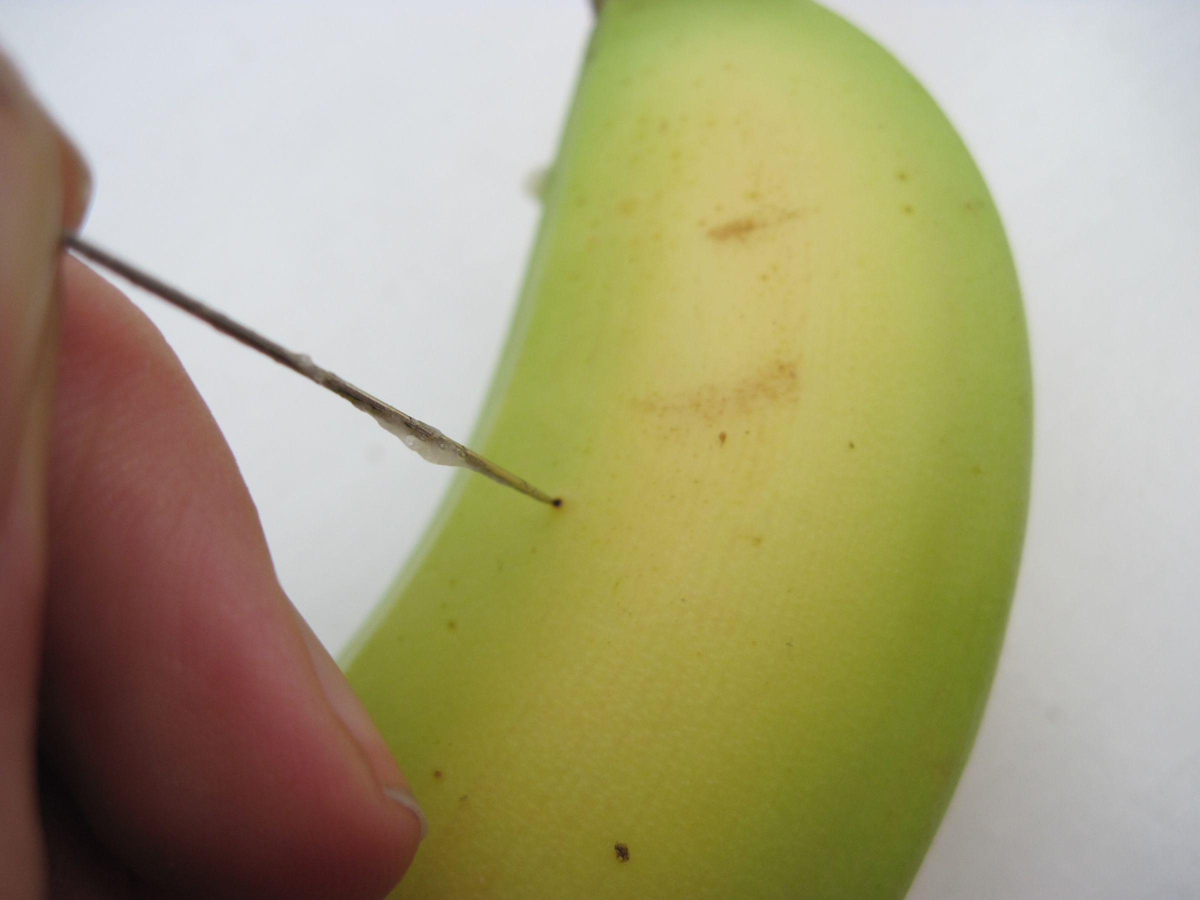 Presliced Banana Prank! 3 Steps (with Pictures) Instructables