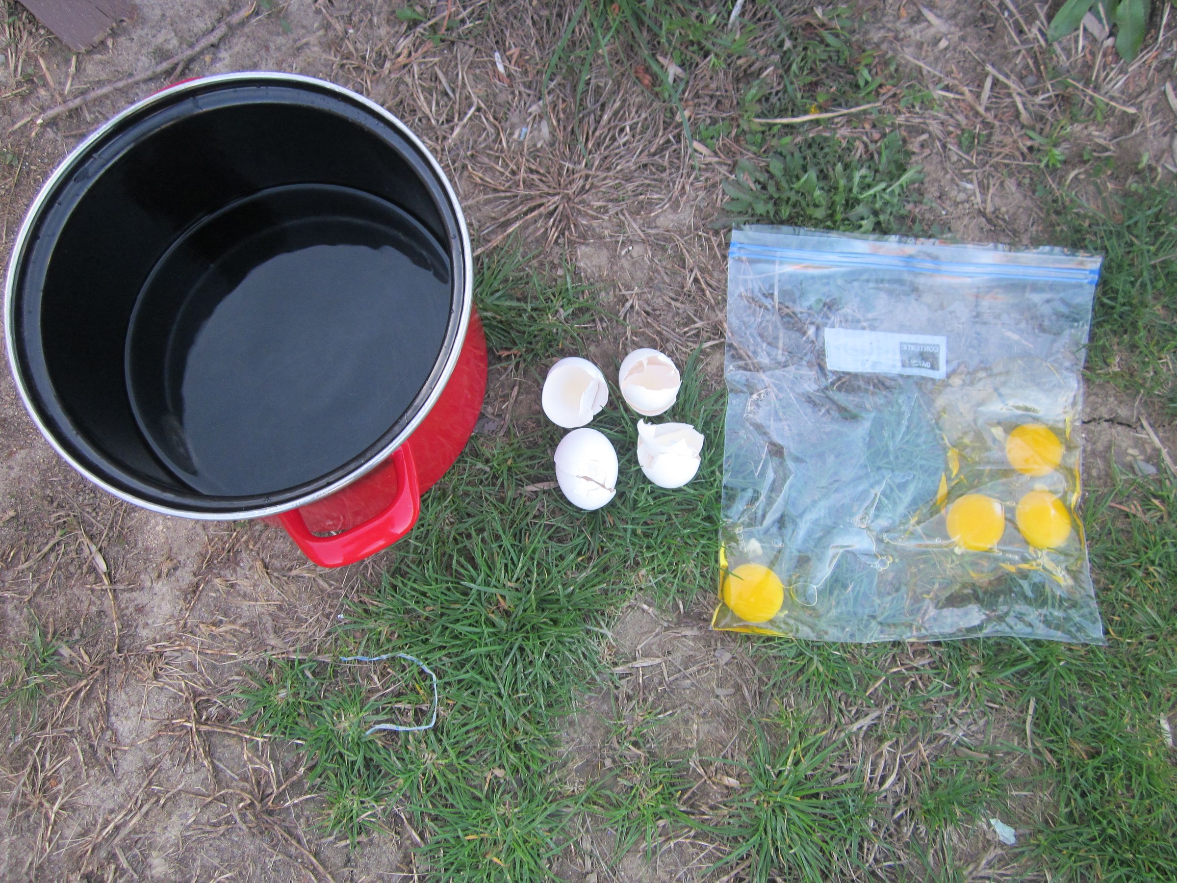 Eggs in a Bag! 6 Steps Instructables