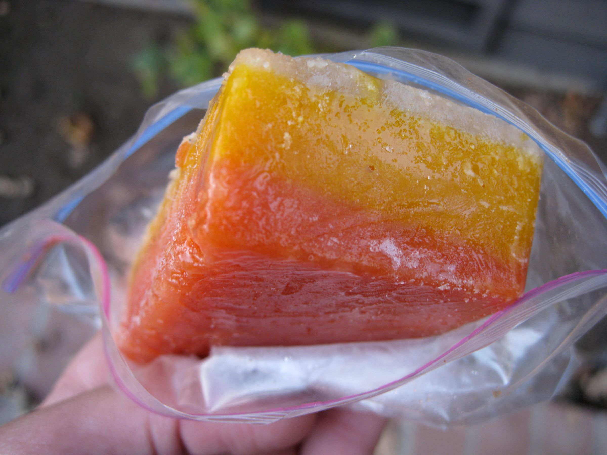 Delicious Tropical Sorbet Bars
