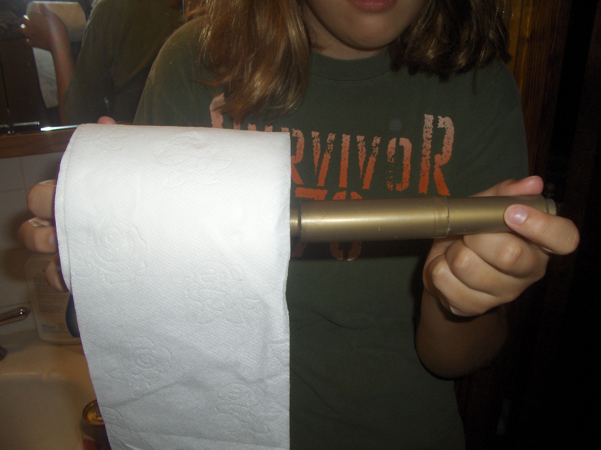 How to Change the Toilet Paper Roll 6 Steps Instructables