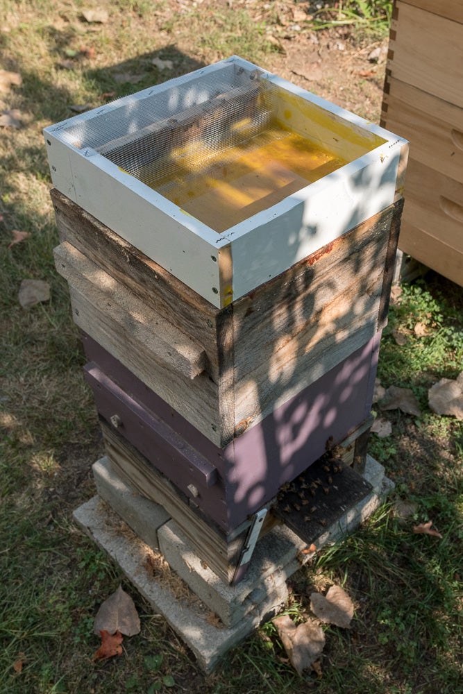 Bee Feeder Diy / Prairie Blossom Bee Farm Mark S Homemade Bulk Bee