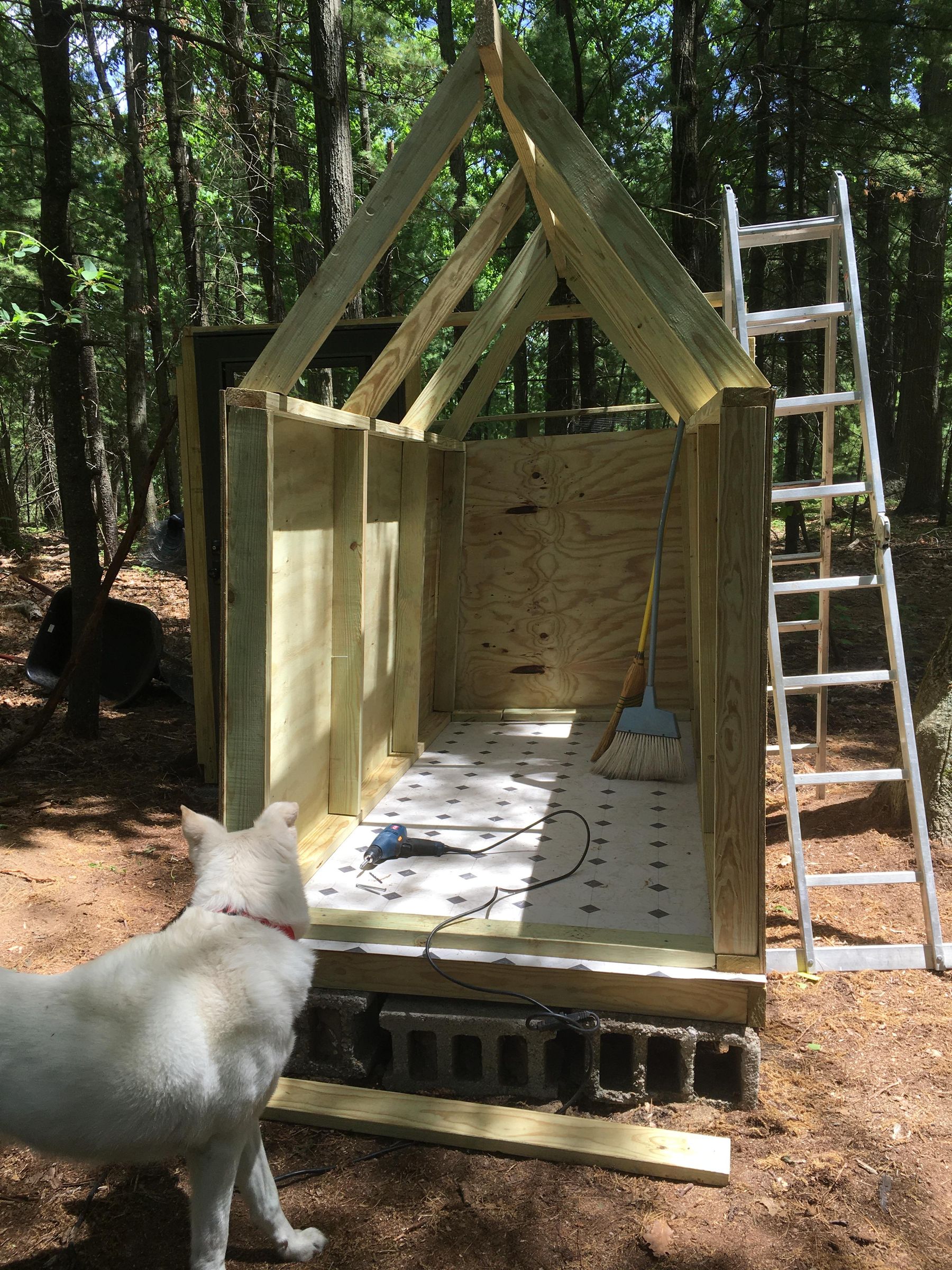 No Carpentry Experience Needed Plywood Chicken Coop 12 Steps (with