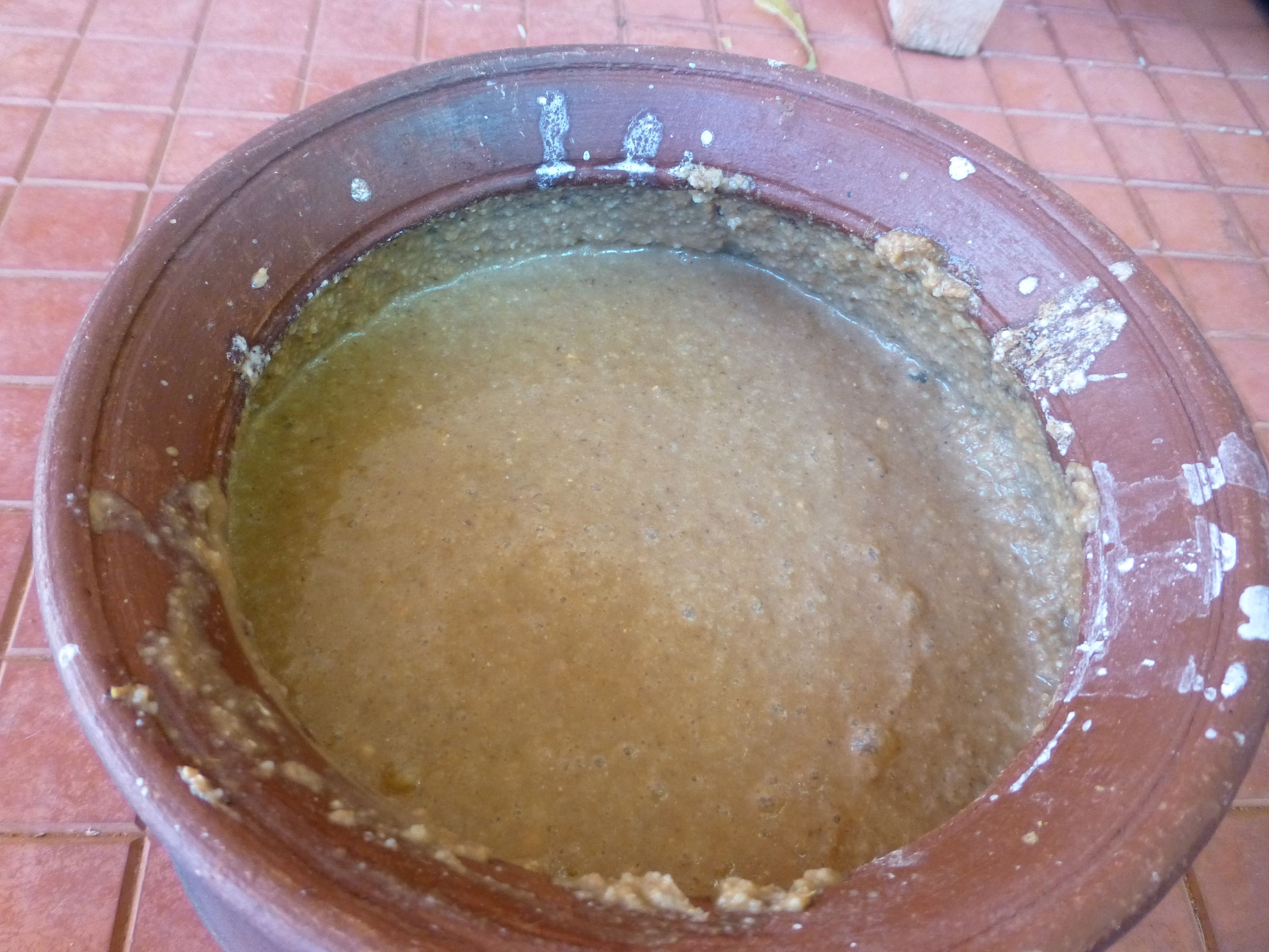 Panchagavya for Organic Gardening