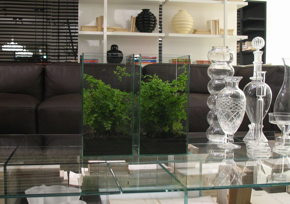 Expensive Looking Indoor Plant in a Glass Case 7 Steps Instructables