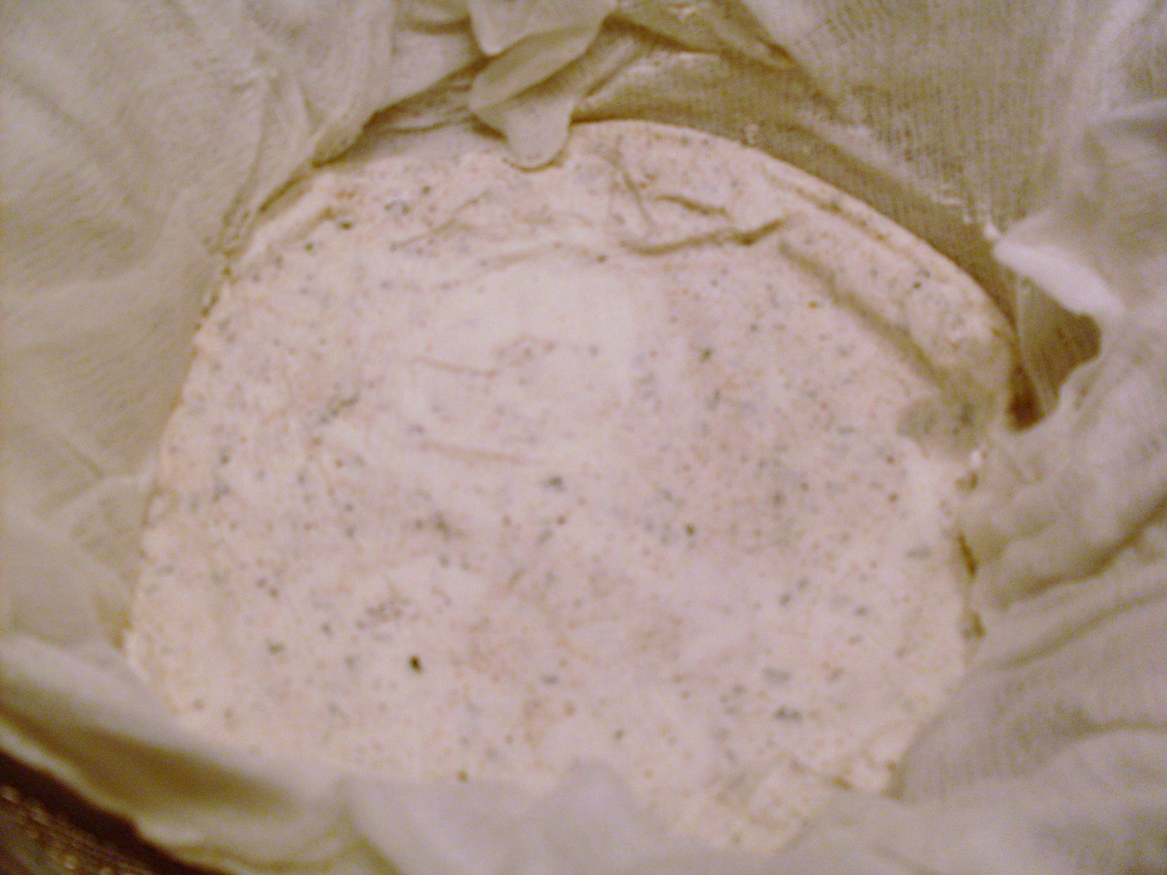 Tangy Yogurt Cheese Spread 3 Steps (with Pictures) Instructables
