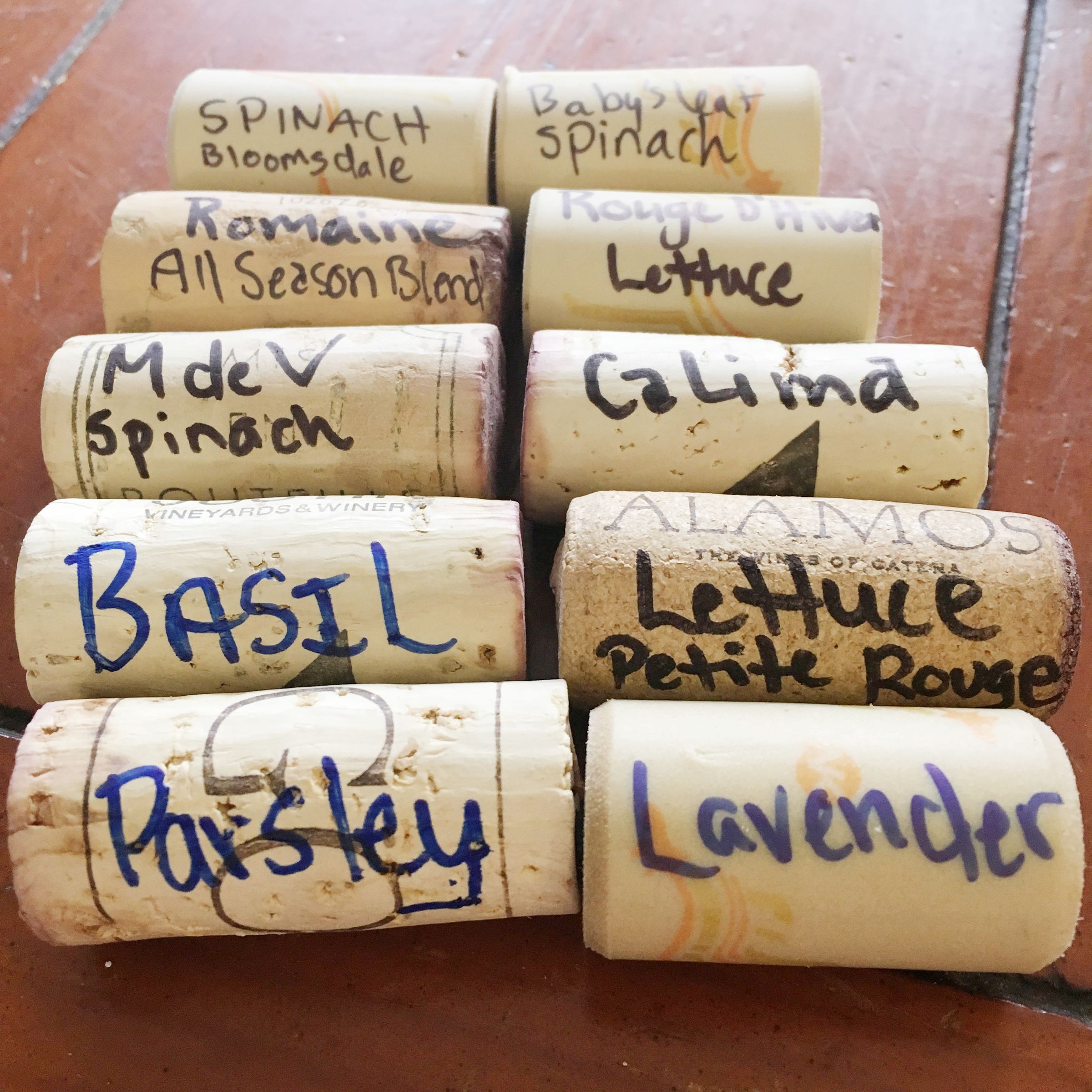 Wine Cork Plant Markers 4 Steps (with Pictures) Instructables