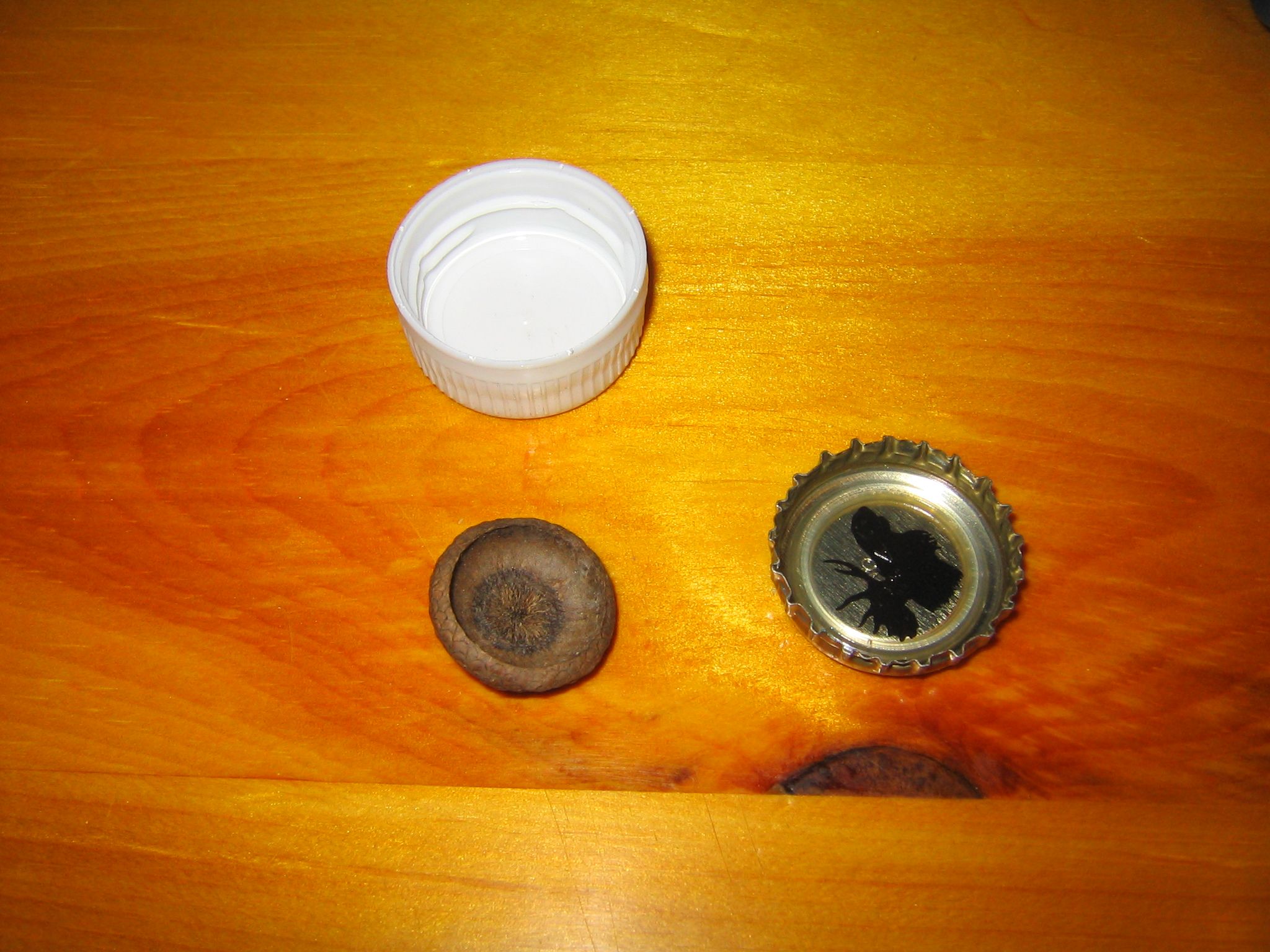 Make a Super Loud Whistle With an Acorn or Other Pocketed Object 4